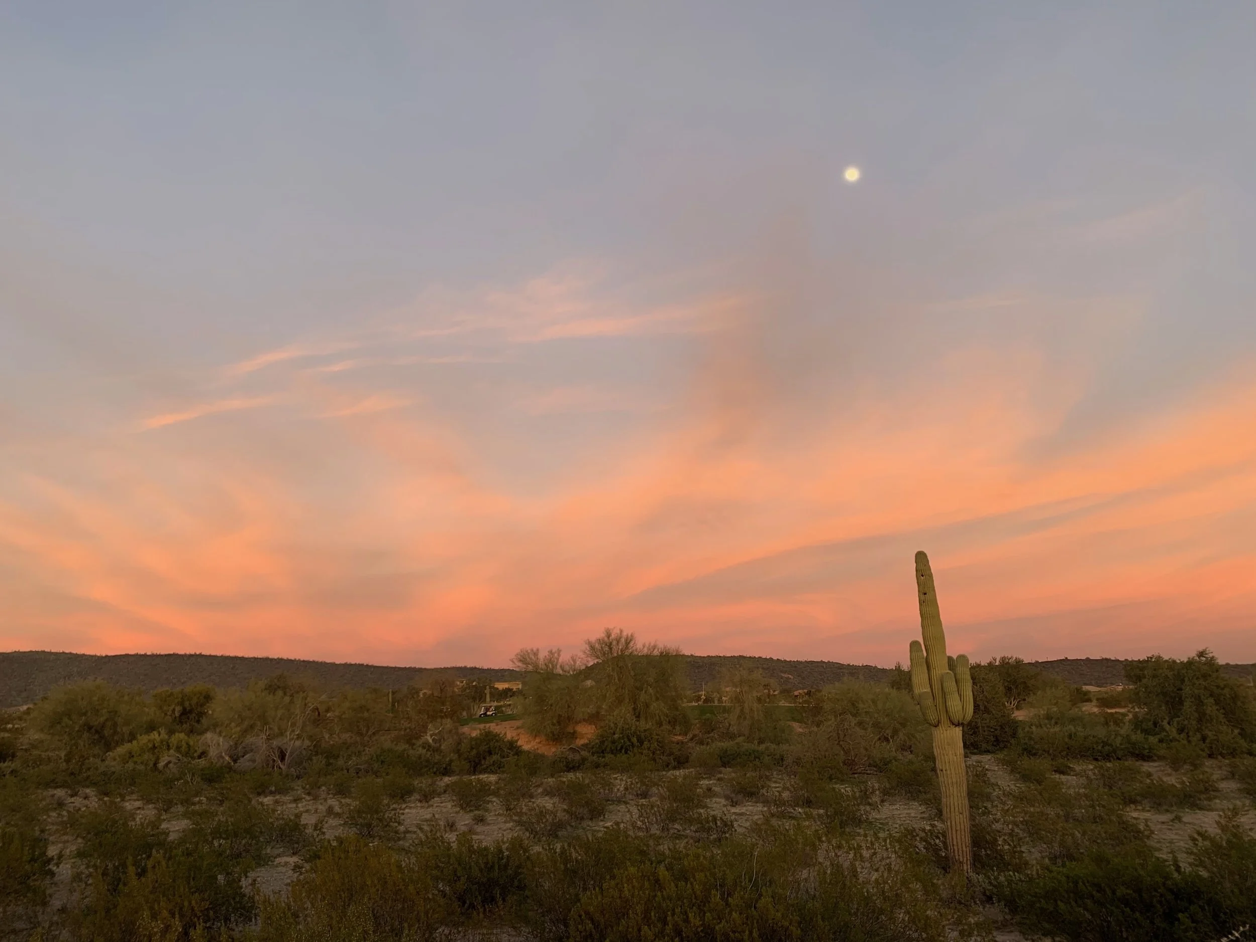 Sunset in Arizona in the winter