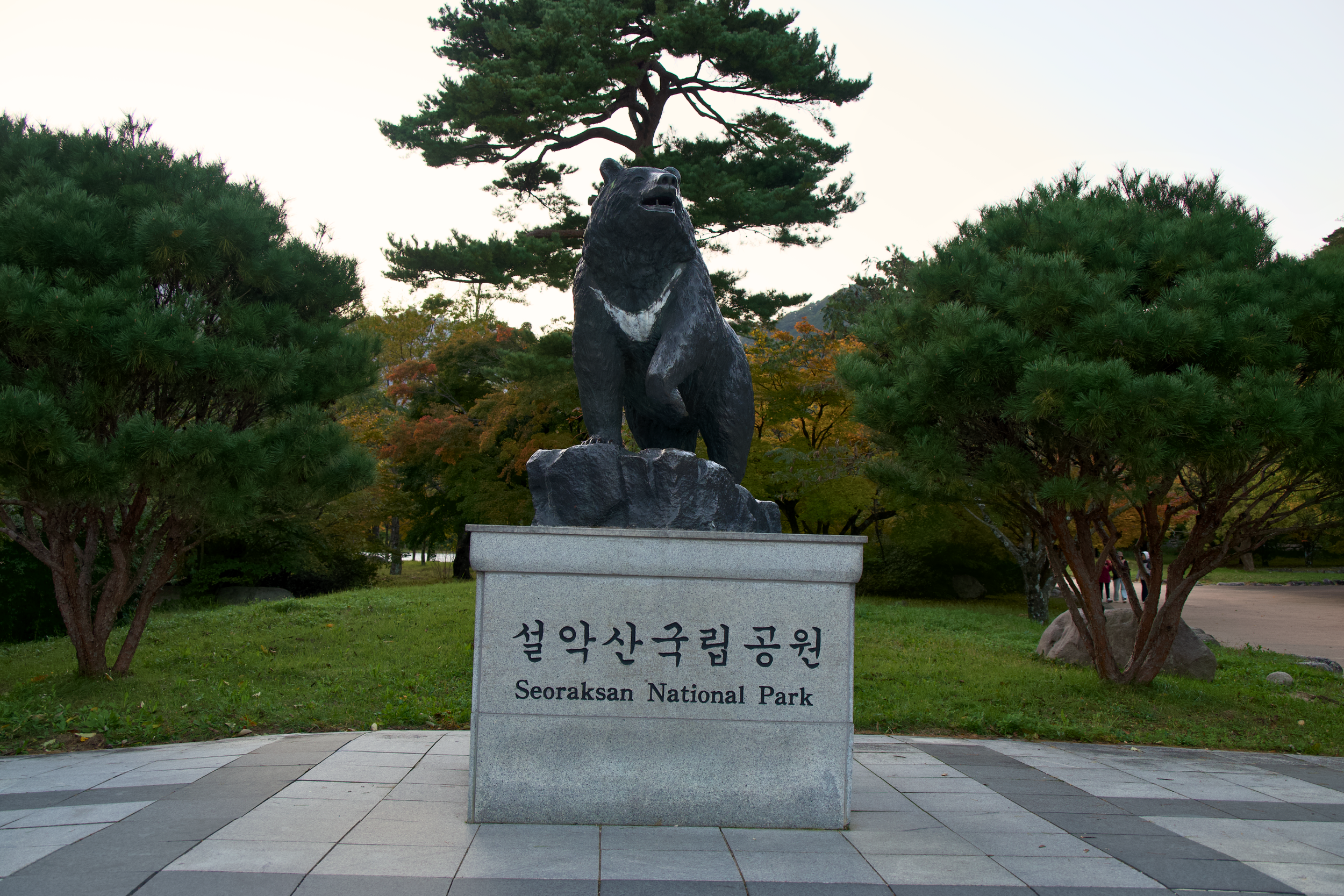 A black statue of a bear standing on a rock with trees in the background at Seoraksan National Park in South Korea.