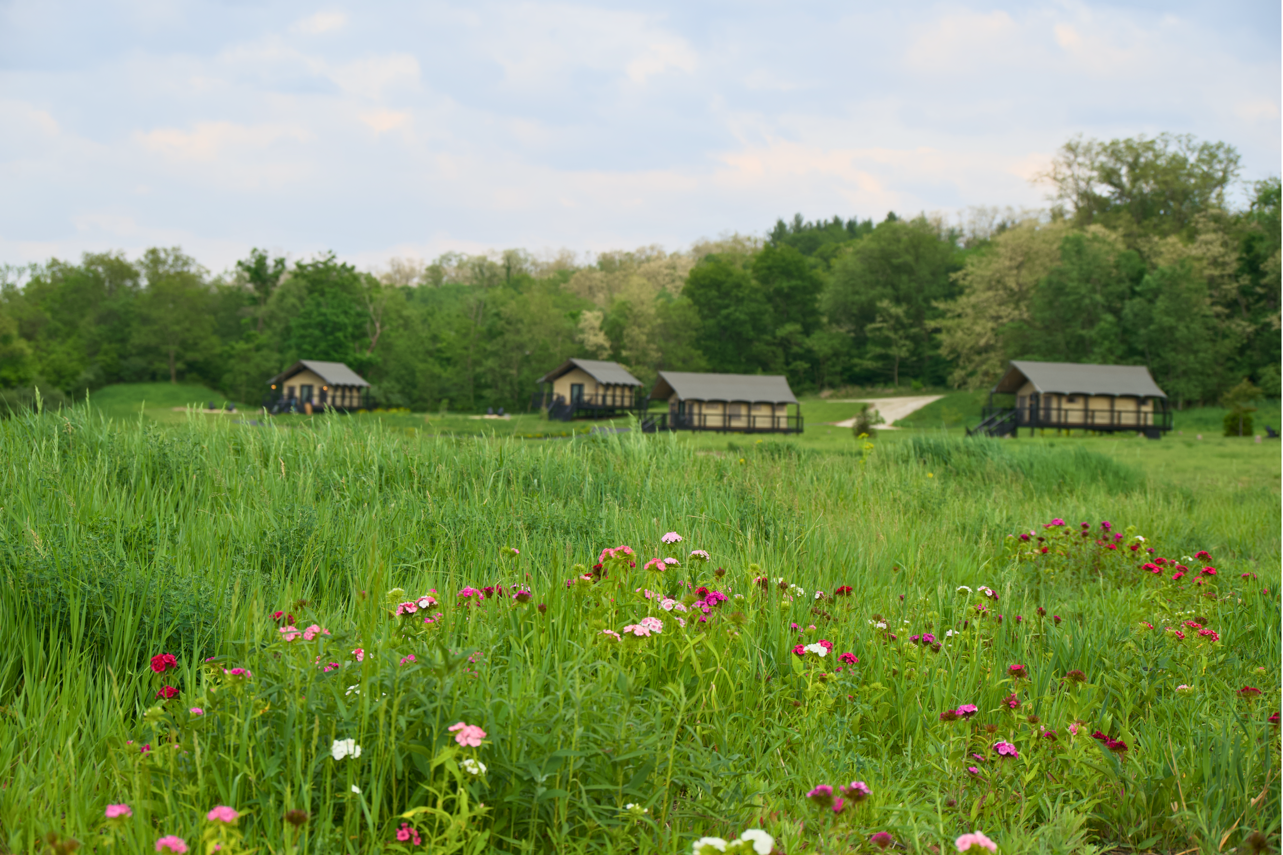 Camp Aramoni (6).png