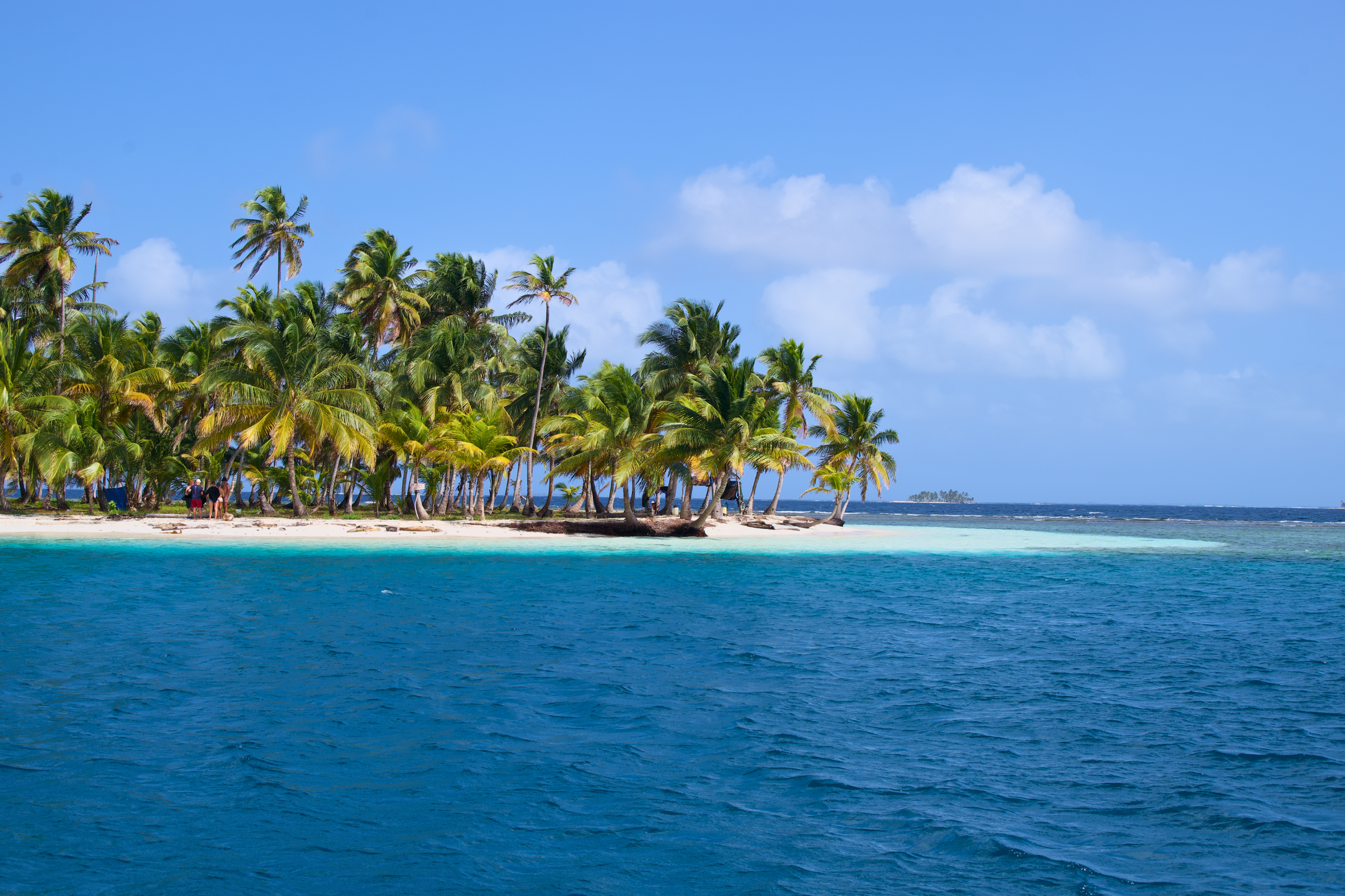 Tropical island with many palm trees, sandy beach, and blue ocean water under a partly cloudy sky.