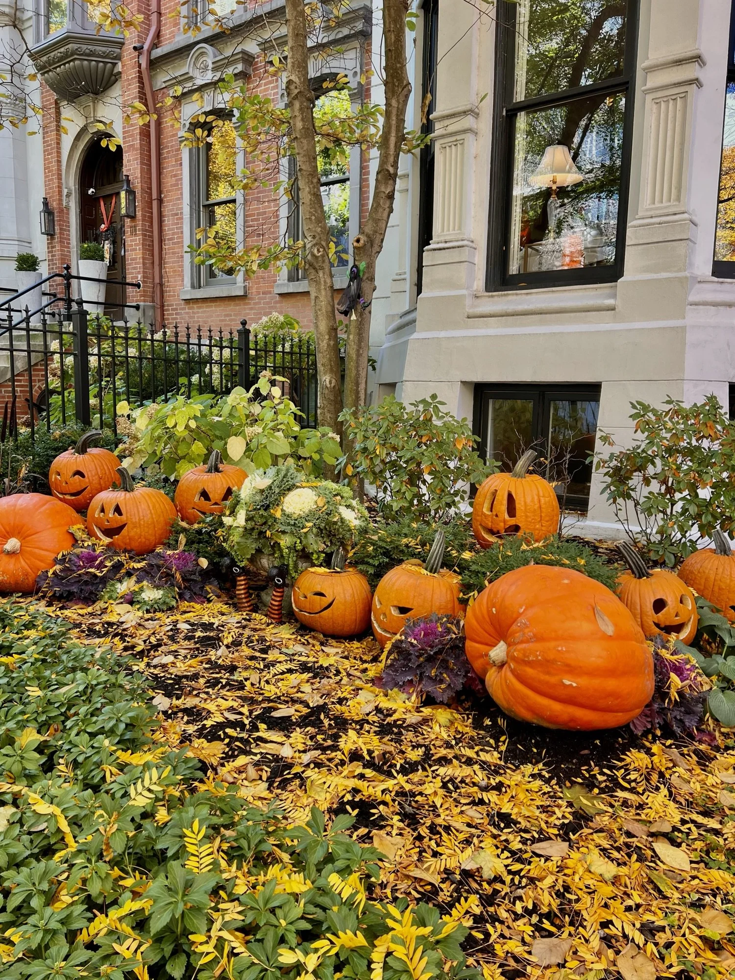 Fall in Love with Chicago: The Ultimate Autumn Guide to the Windy City ...