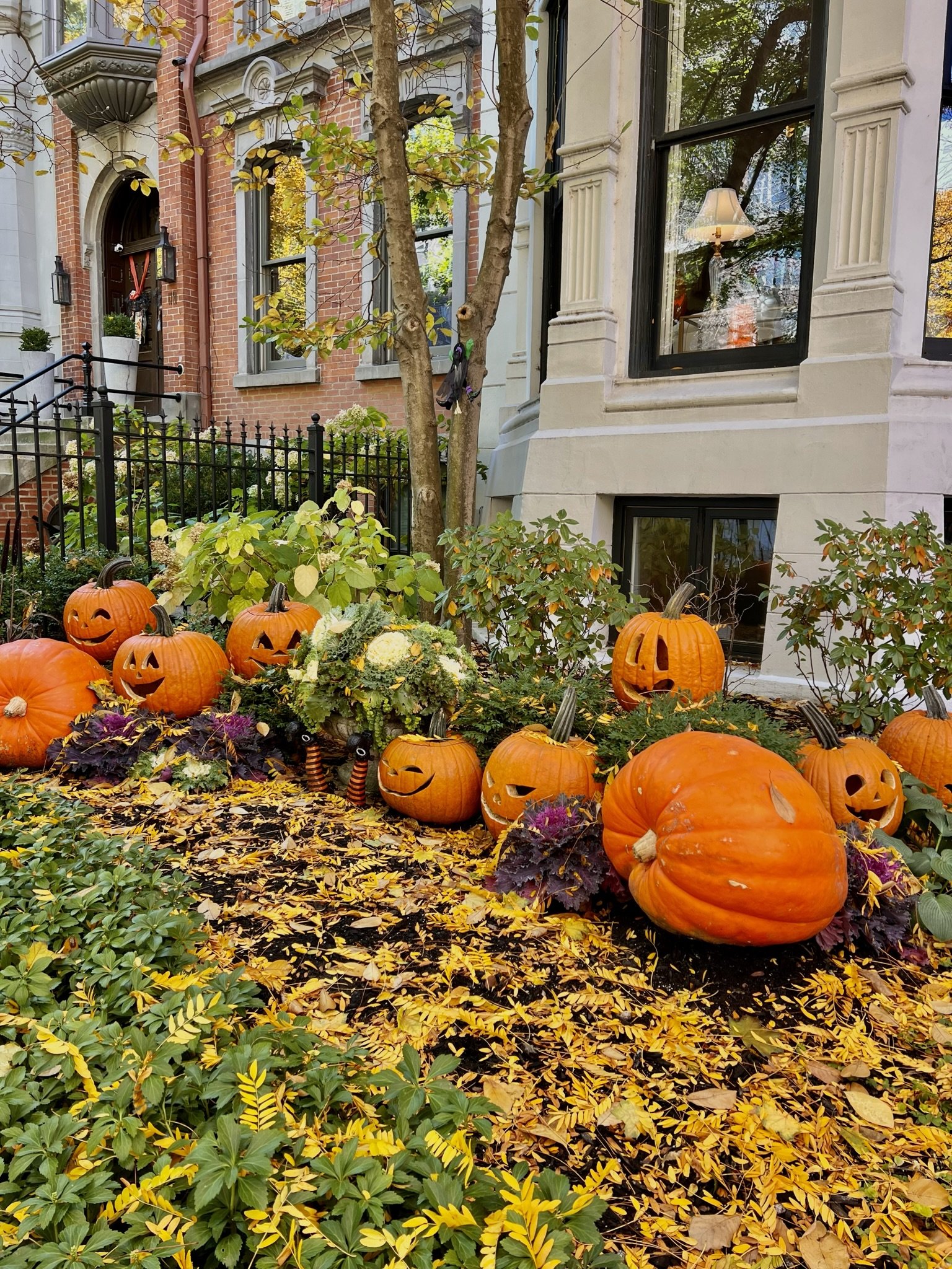 Fall in Love with Chicago: The Ultimate Autumn Guide to the Windy City ...