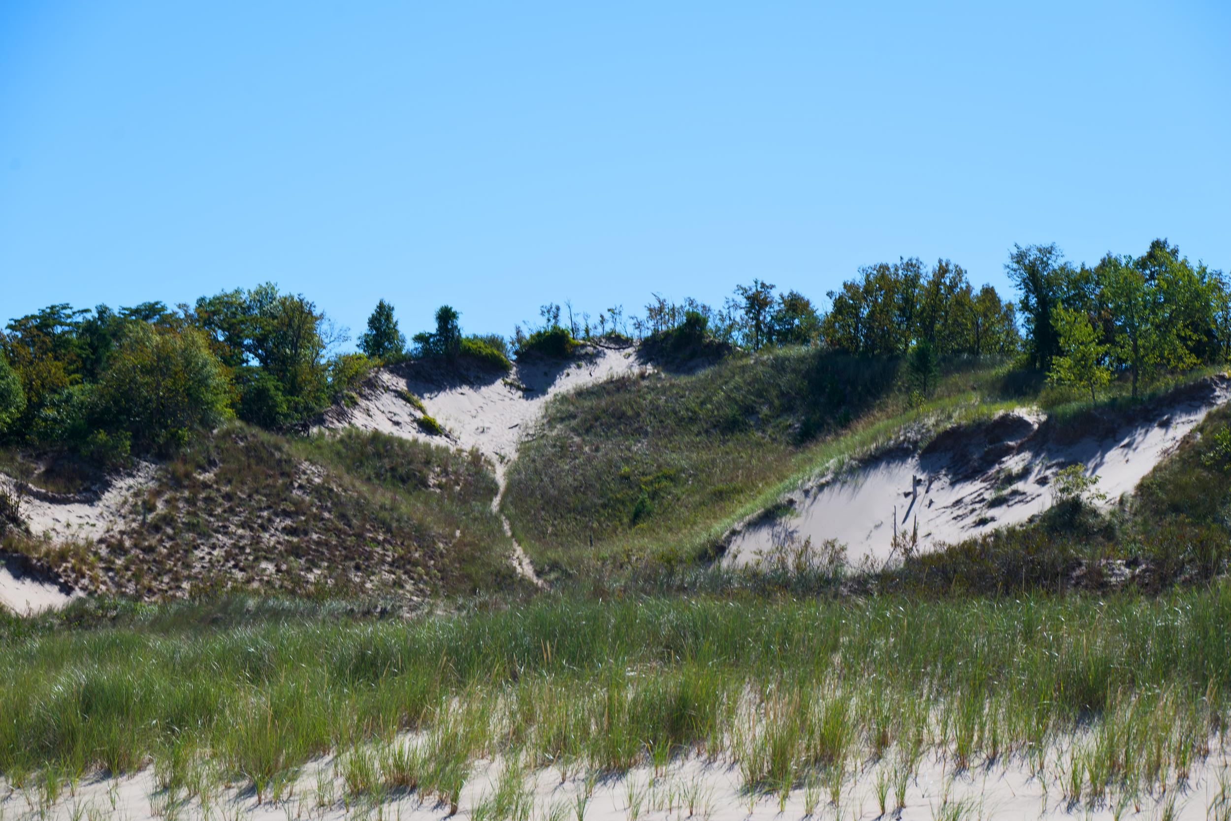 Indiana Dunes National Park Dunes in summer