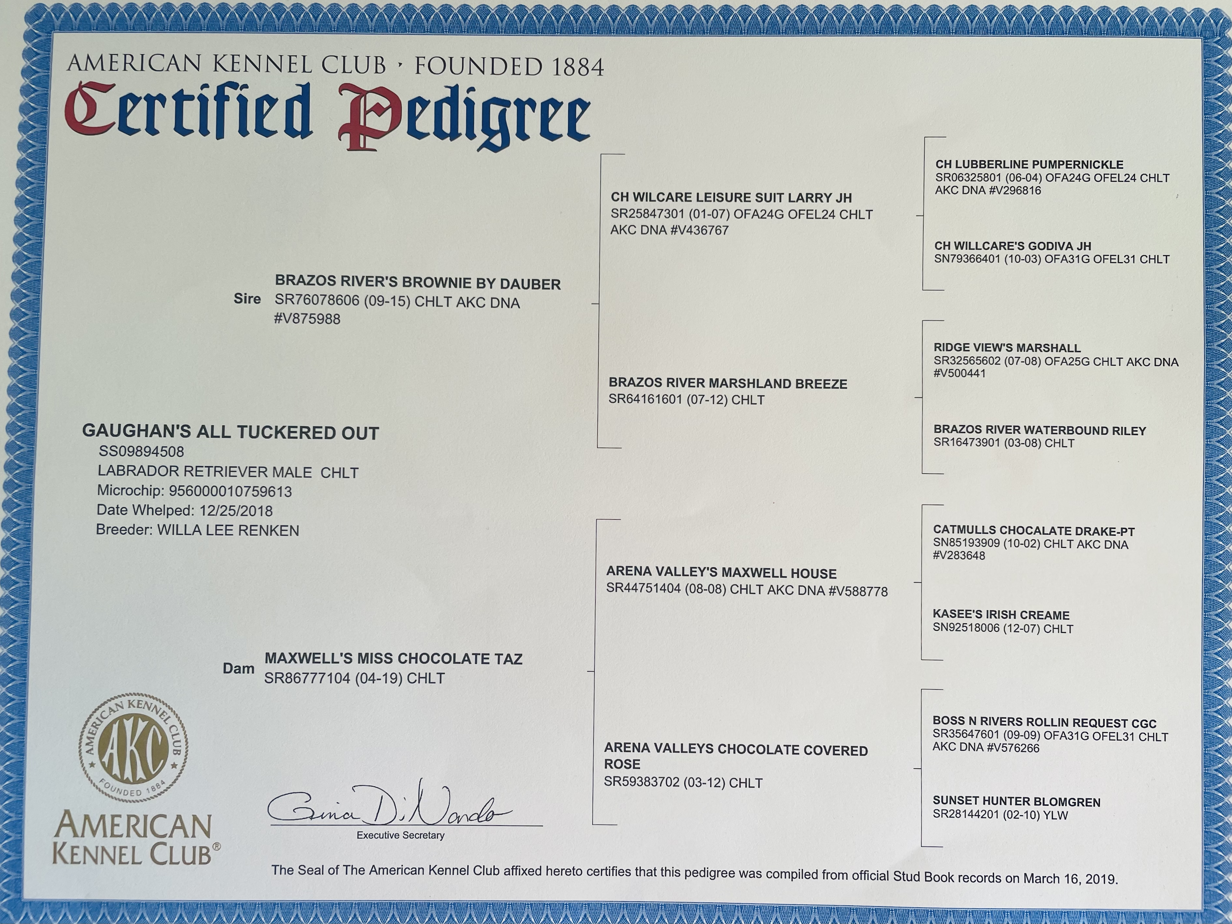 Tucker's 3 Generation Pedigree