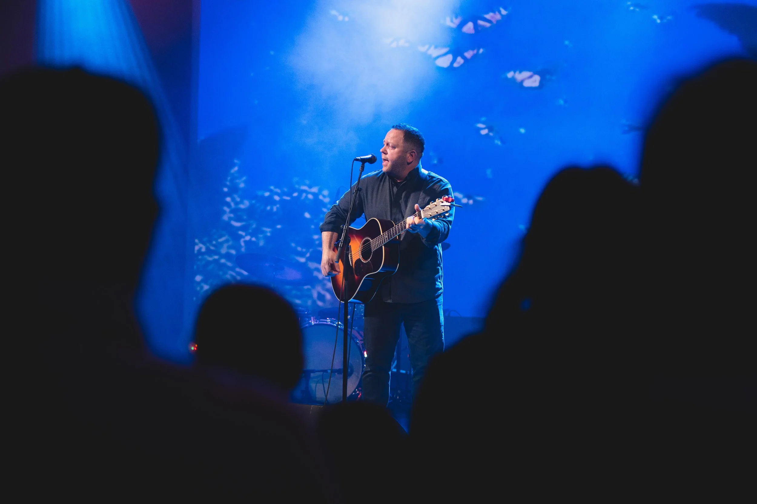 Monarch Mosaic Release 12.JPG