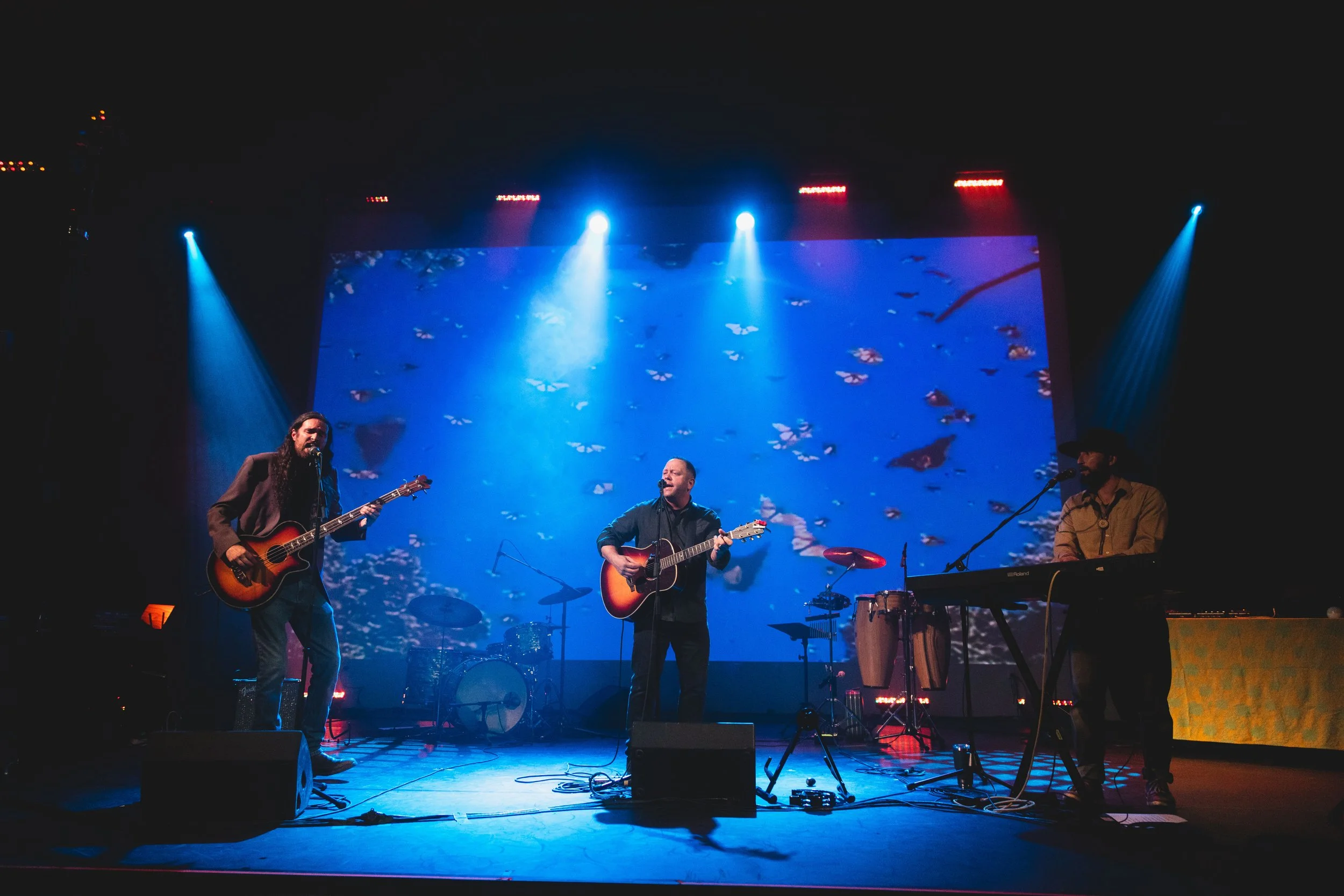 Monarch Mosaic Release 11.JPG