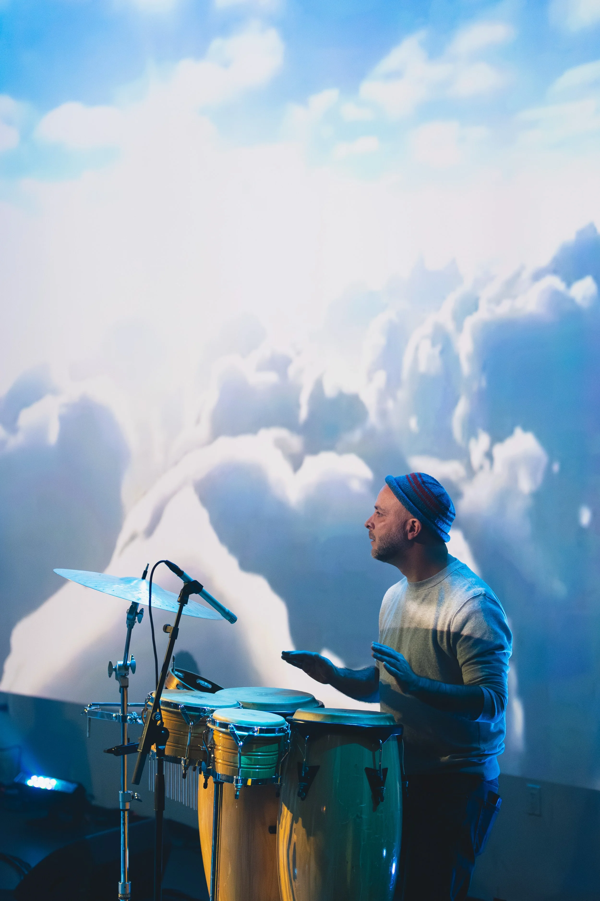 Monarch Mosaic Release 26.JPG