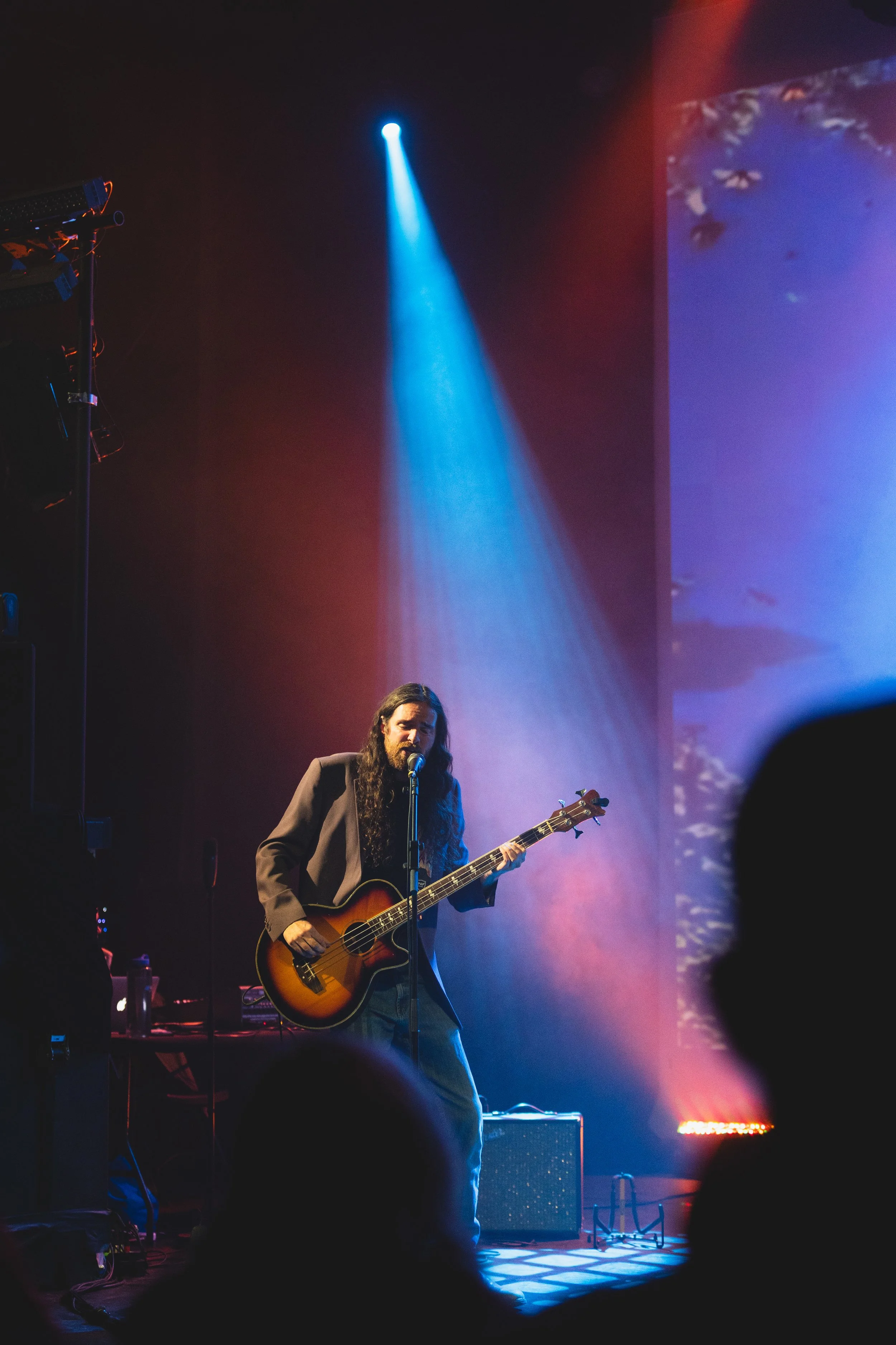 Monarch Mosaic Release 10.JPG