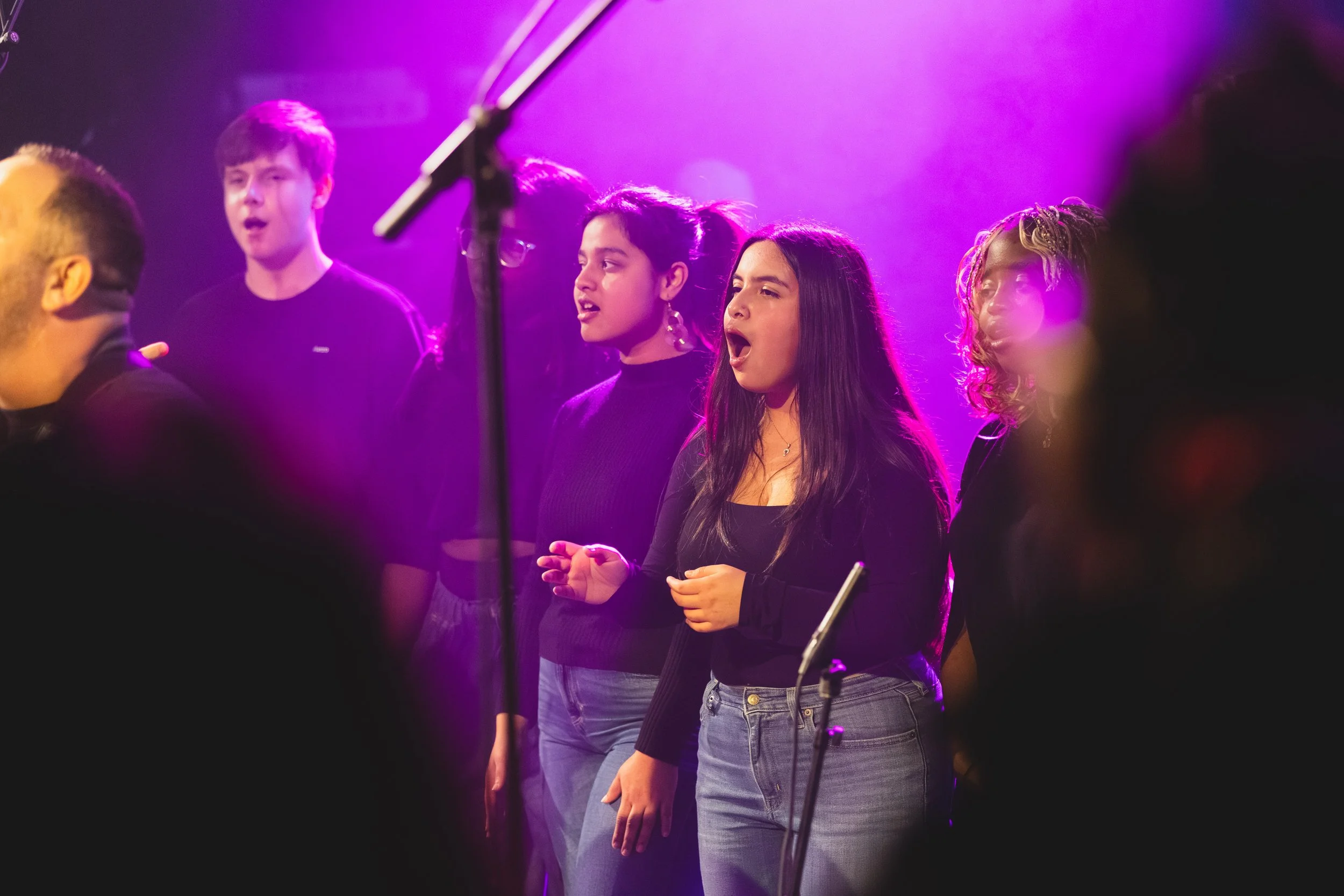 Monarch Mosaic Release 38.JPG