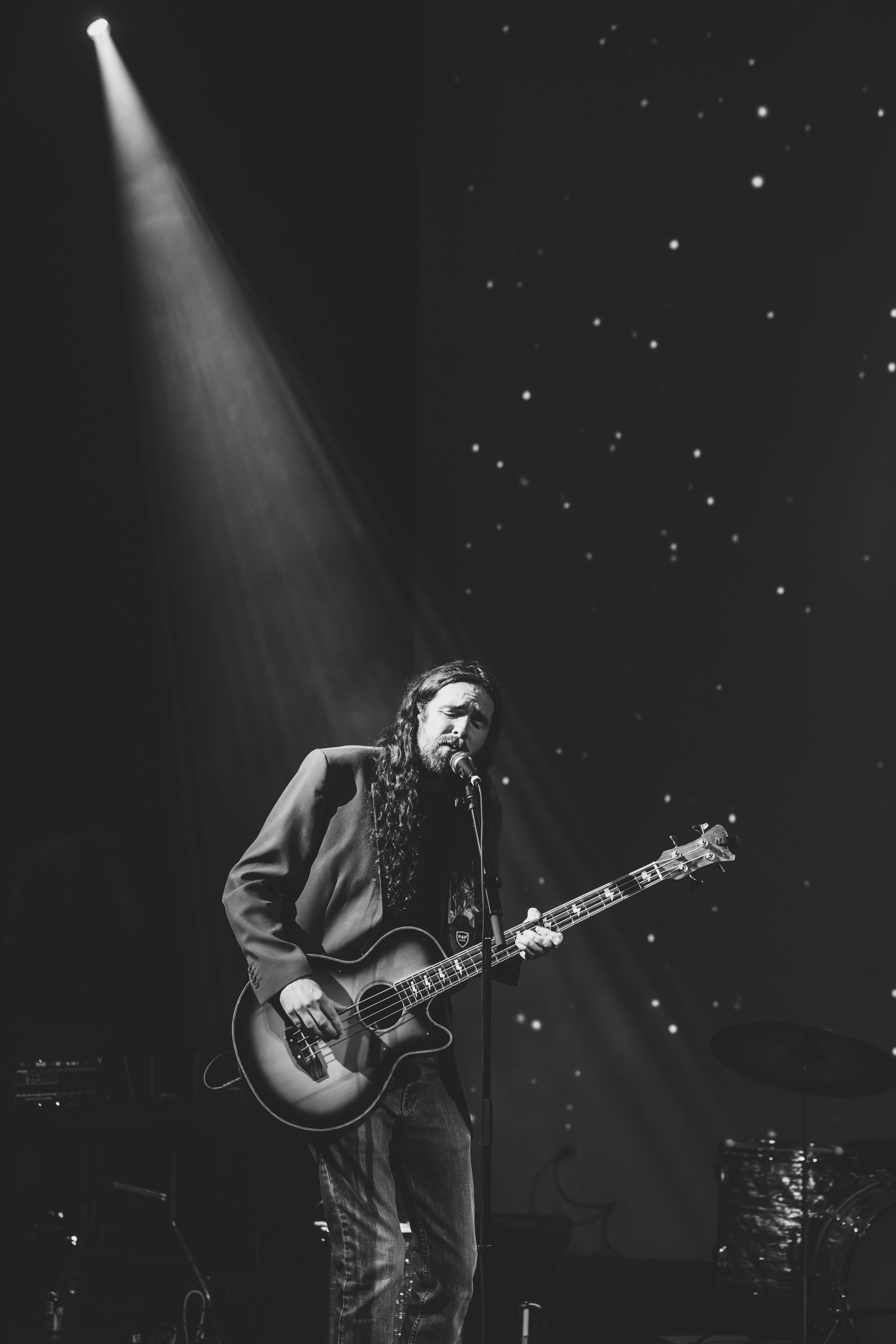 Monarch Mosaic Release 05.JPG