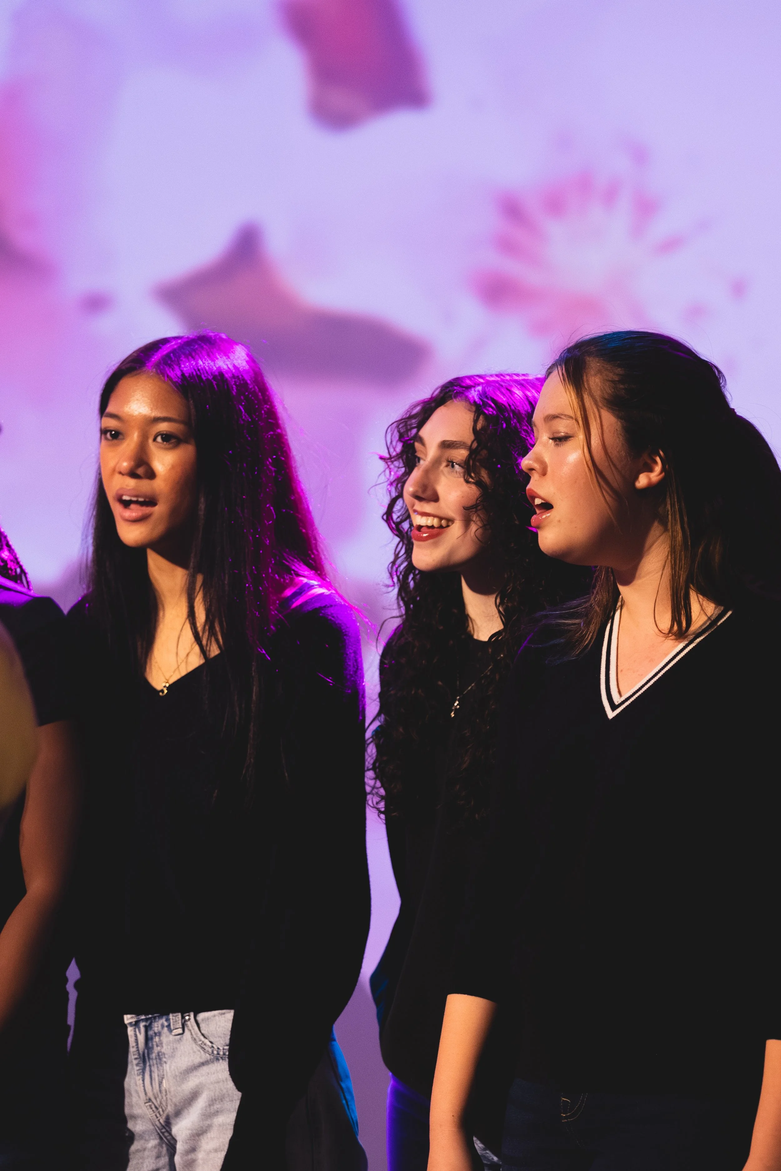 Monarch Mosaic Release 32.JPG