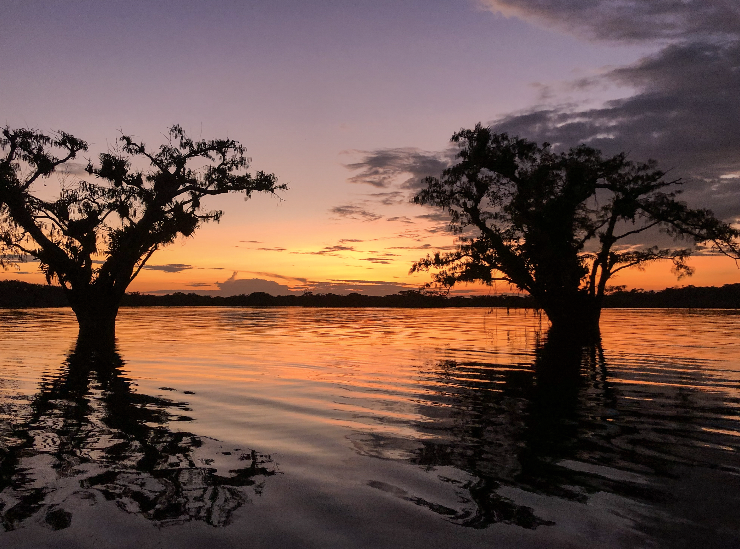 Screenshot 2026-04-05 at 3.56.04 PM.png