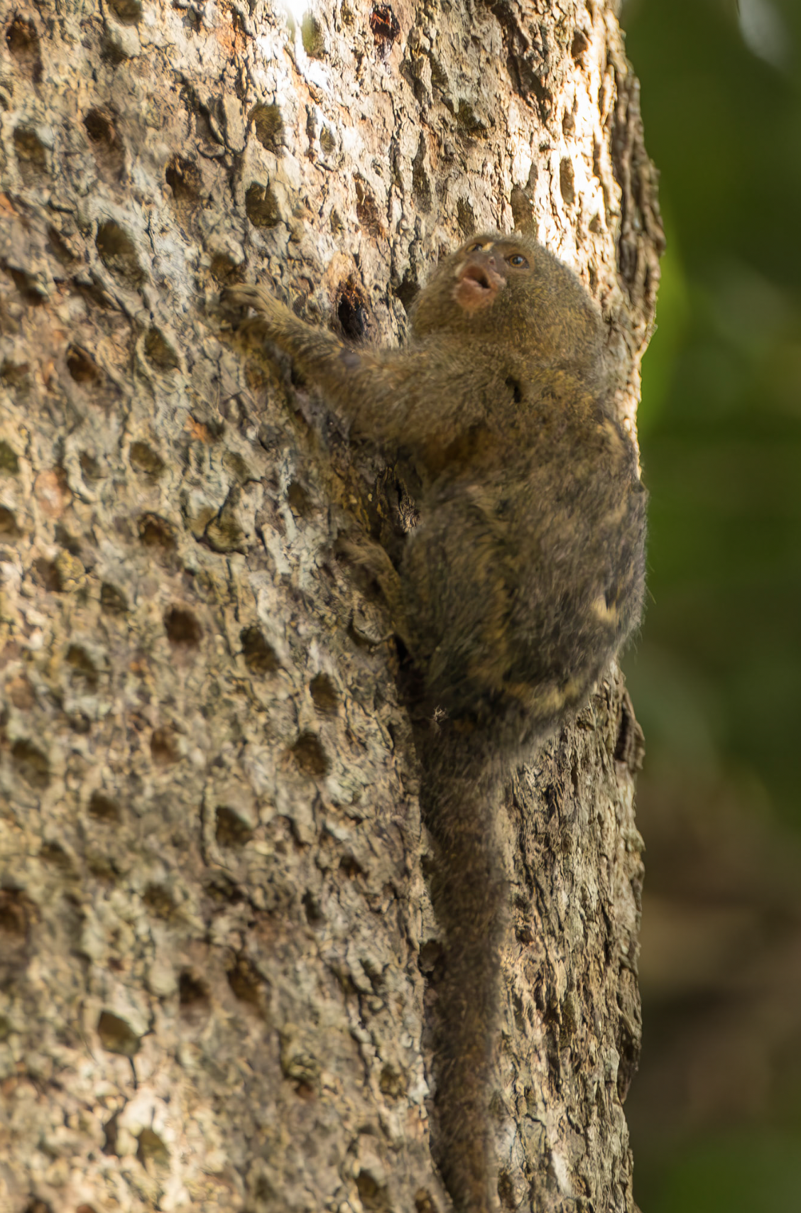 Screenshot 2026-04-03 at 11.41.35 AM.png