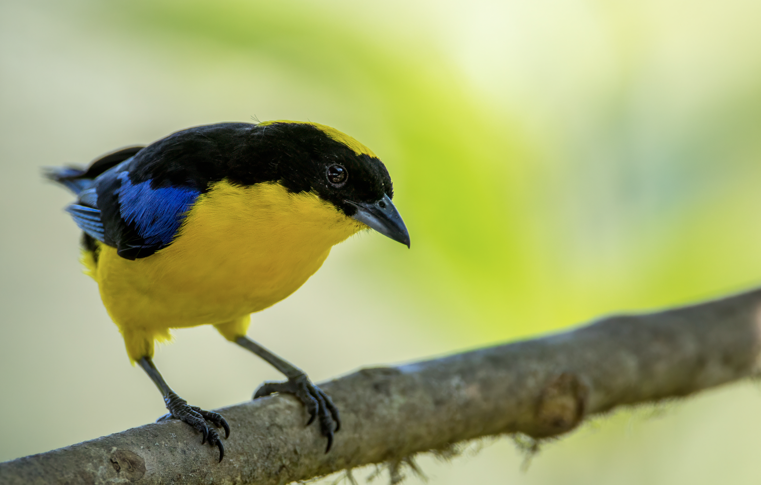 Screenshot 2026-04-07 at 9.42.19 AM.png