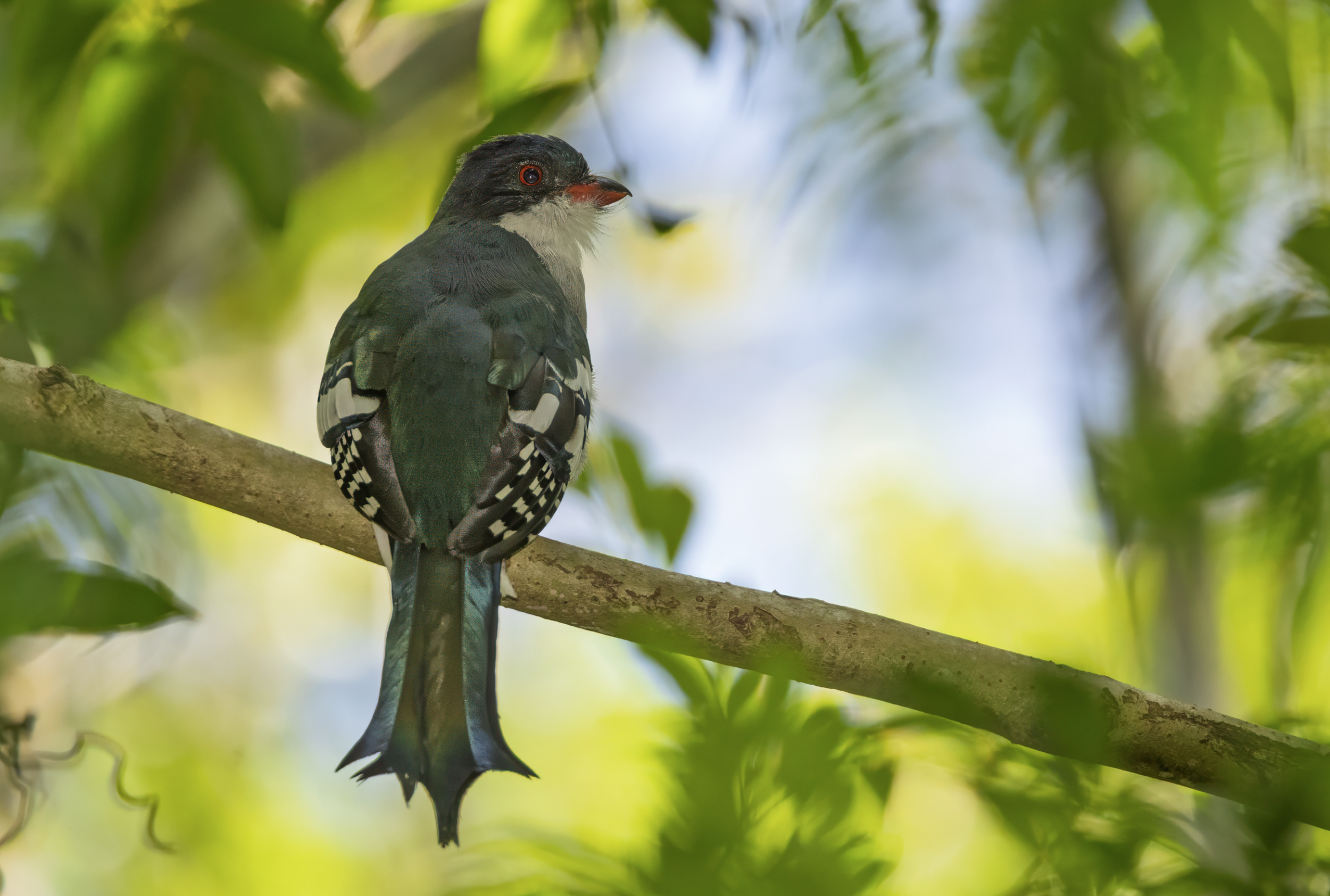 Screenshot 2026-04-03 at 1.09.30 PM.png