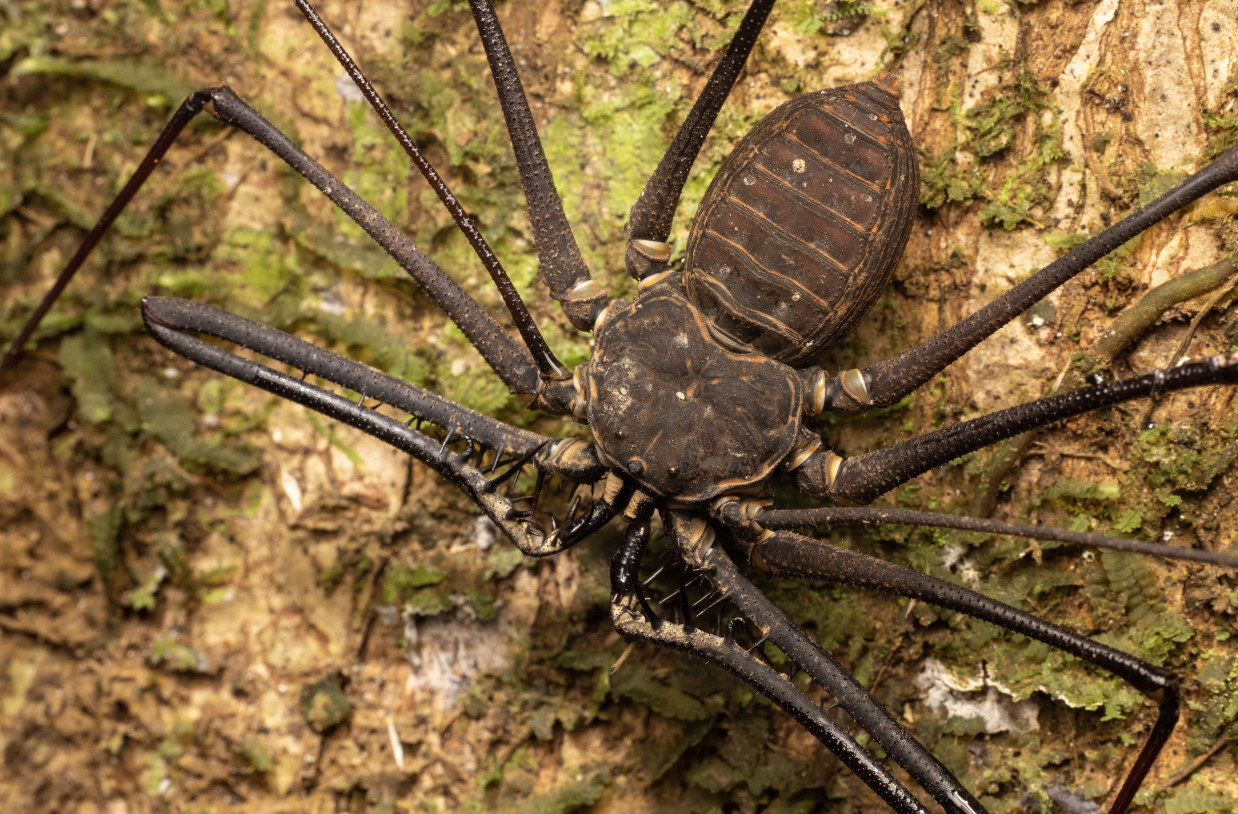 Screenshot 2026-04-03 at 12.55.57 PM.png