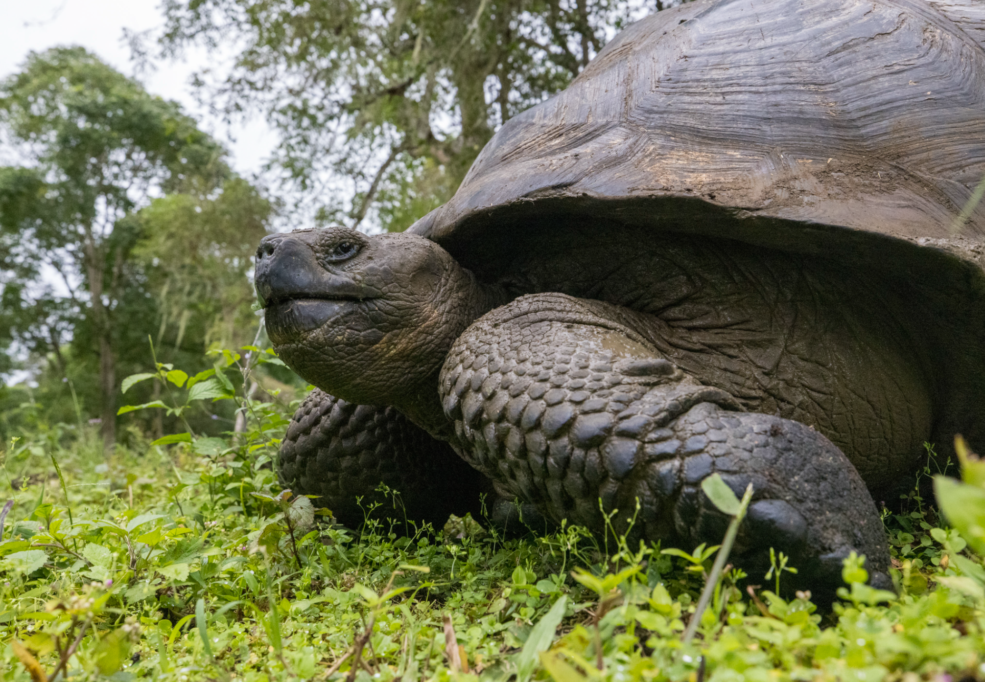 Screenshot 2026-04-01 at 1.04.08 PM.png