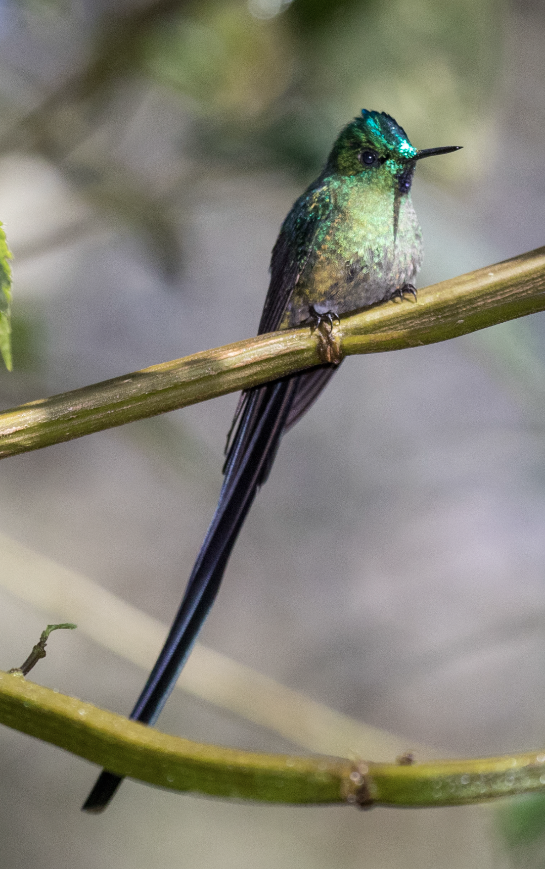 Screenshot 2026-04-07 at 9.44.11 AM.png