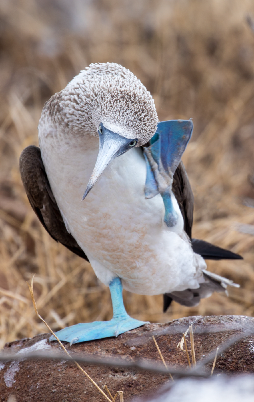 Screenshot 2026-04-01 at 1.11.06 PM.png