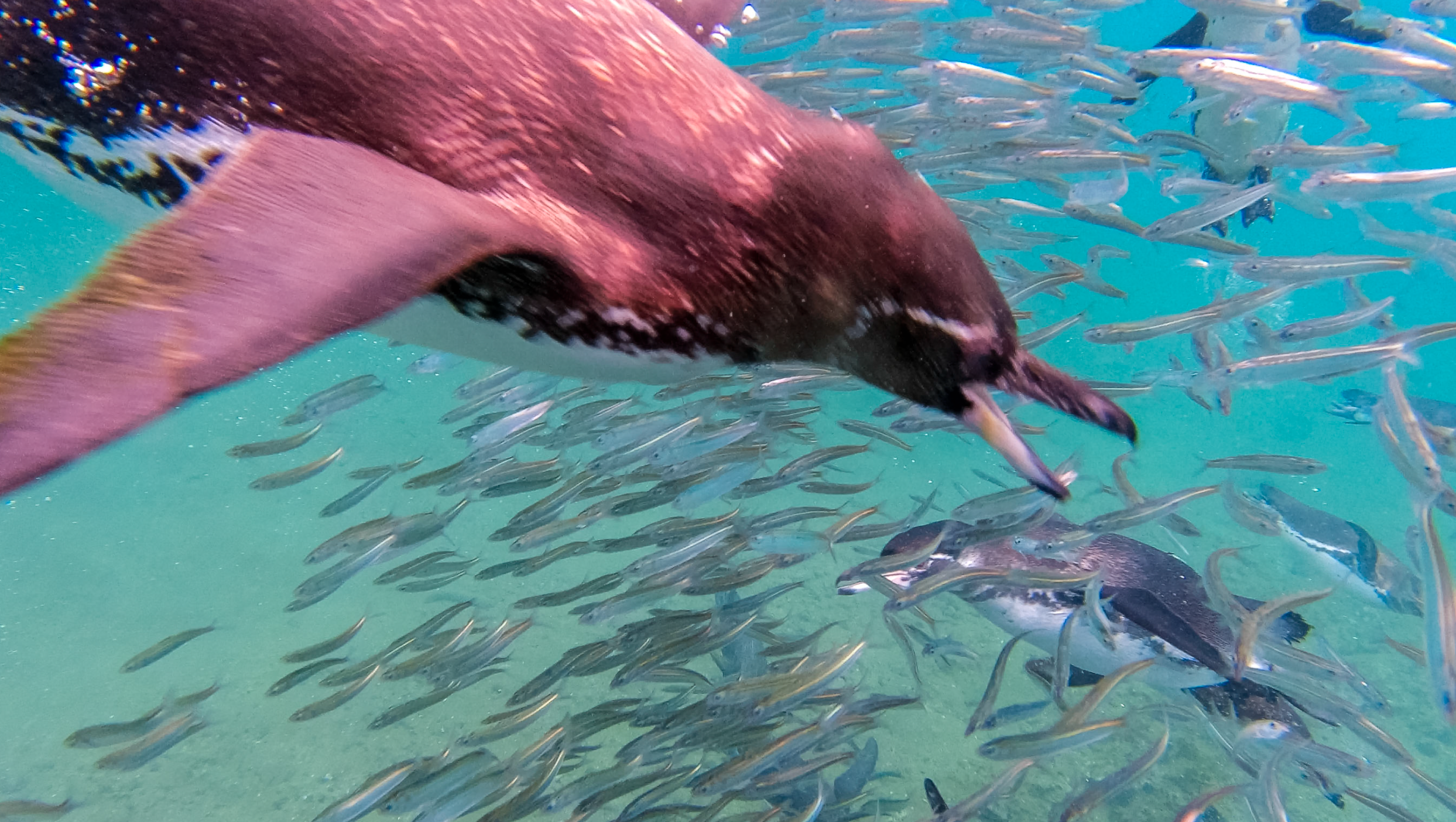 Screenshot 2026-04-01 at 1.01.40 PM.png