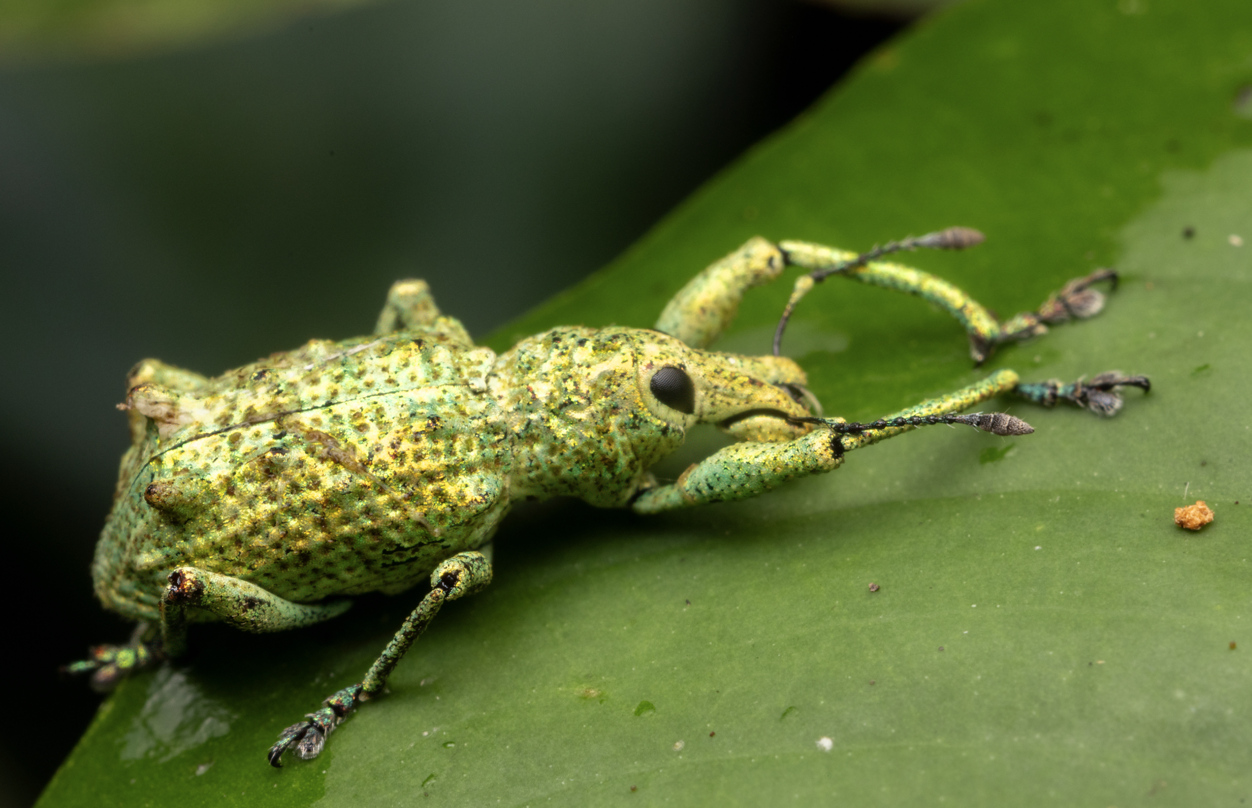 Screenshot 2026-04-03 at 11.45.04 AM.png