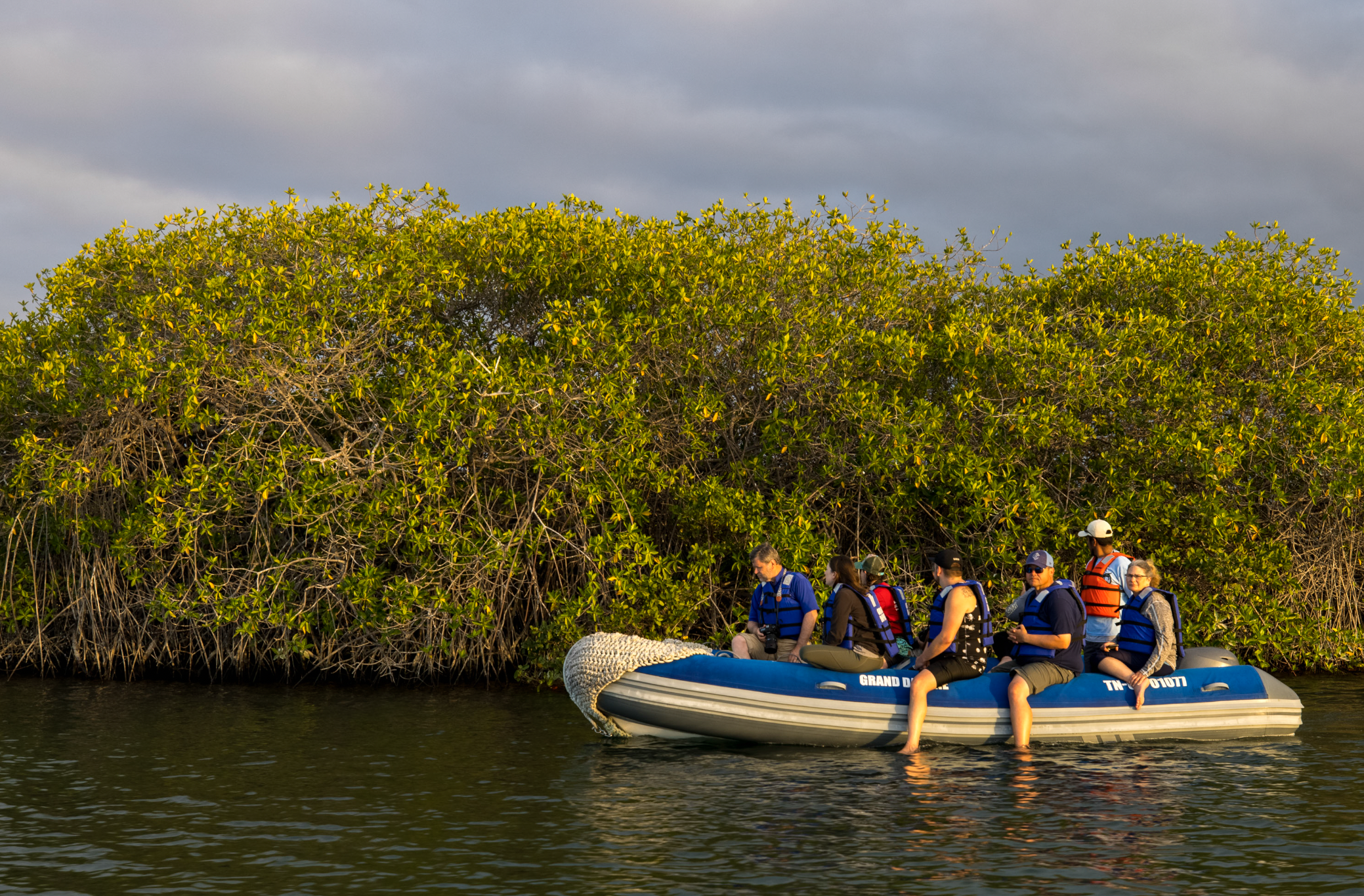 Screenshot 2026-04-01 at 1.02.26 PM.png