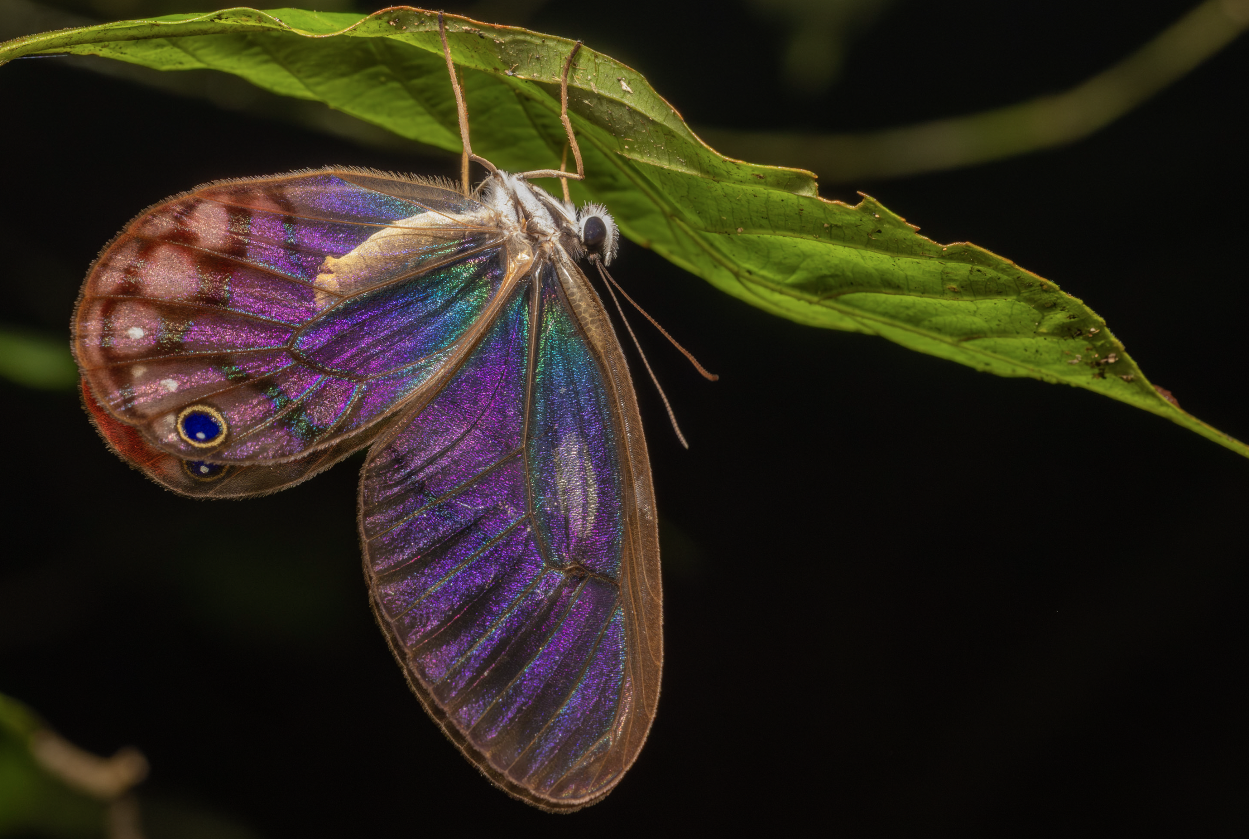 Screenshot 2026-04-03 at 11.47.19 AM.png