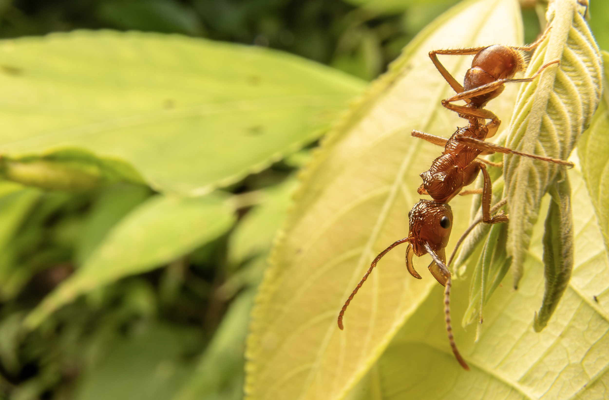 Screenshot 2026-04-03 at 12.56.14 PM.png