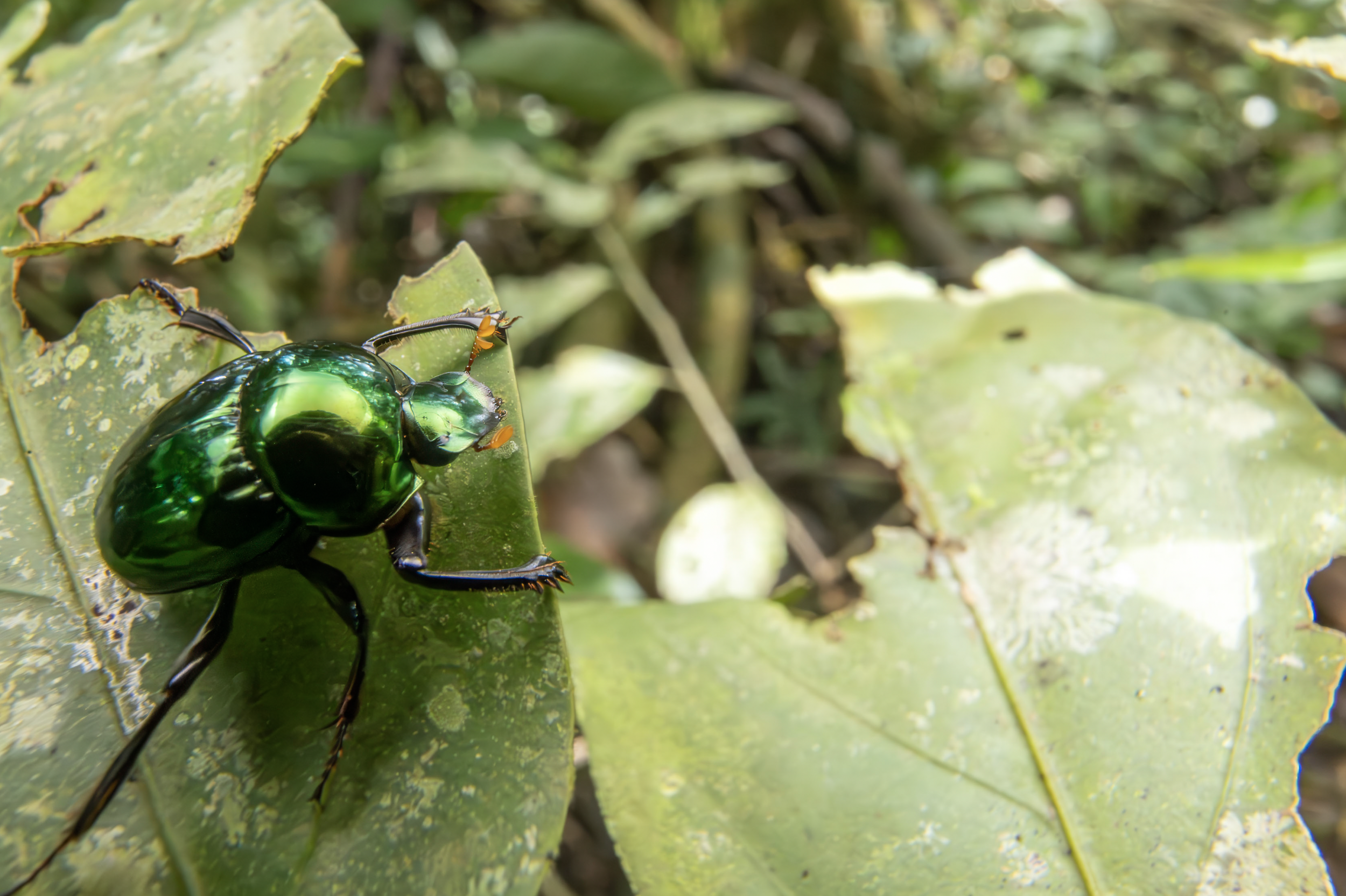 Screenshot 2026-04-03 at 11.46.15 AM.png