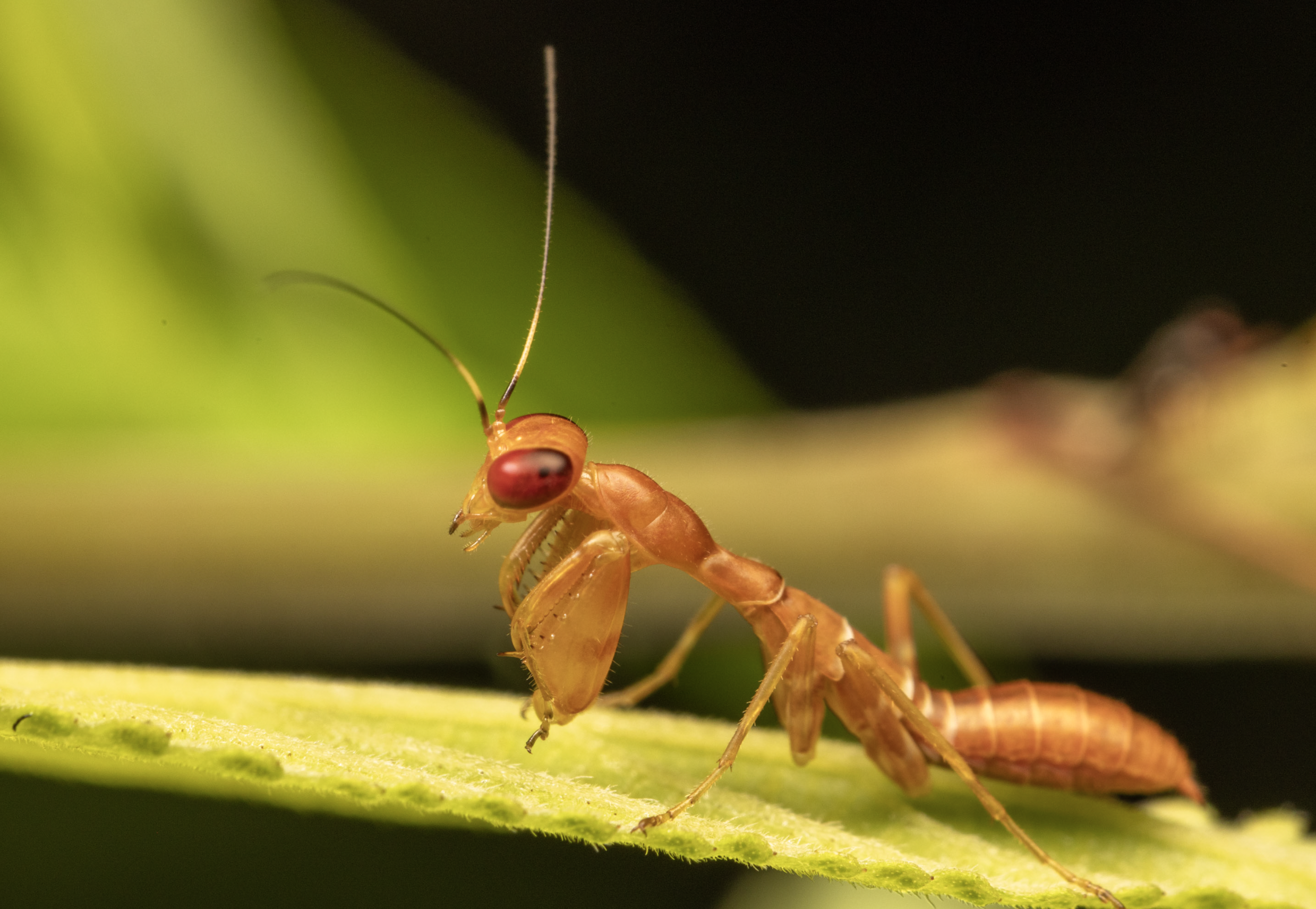 Screenshot 2026-04-03 at 12.58.07 PM.png