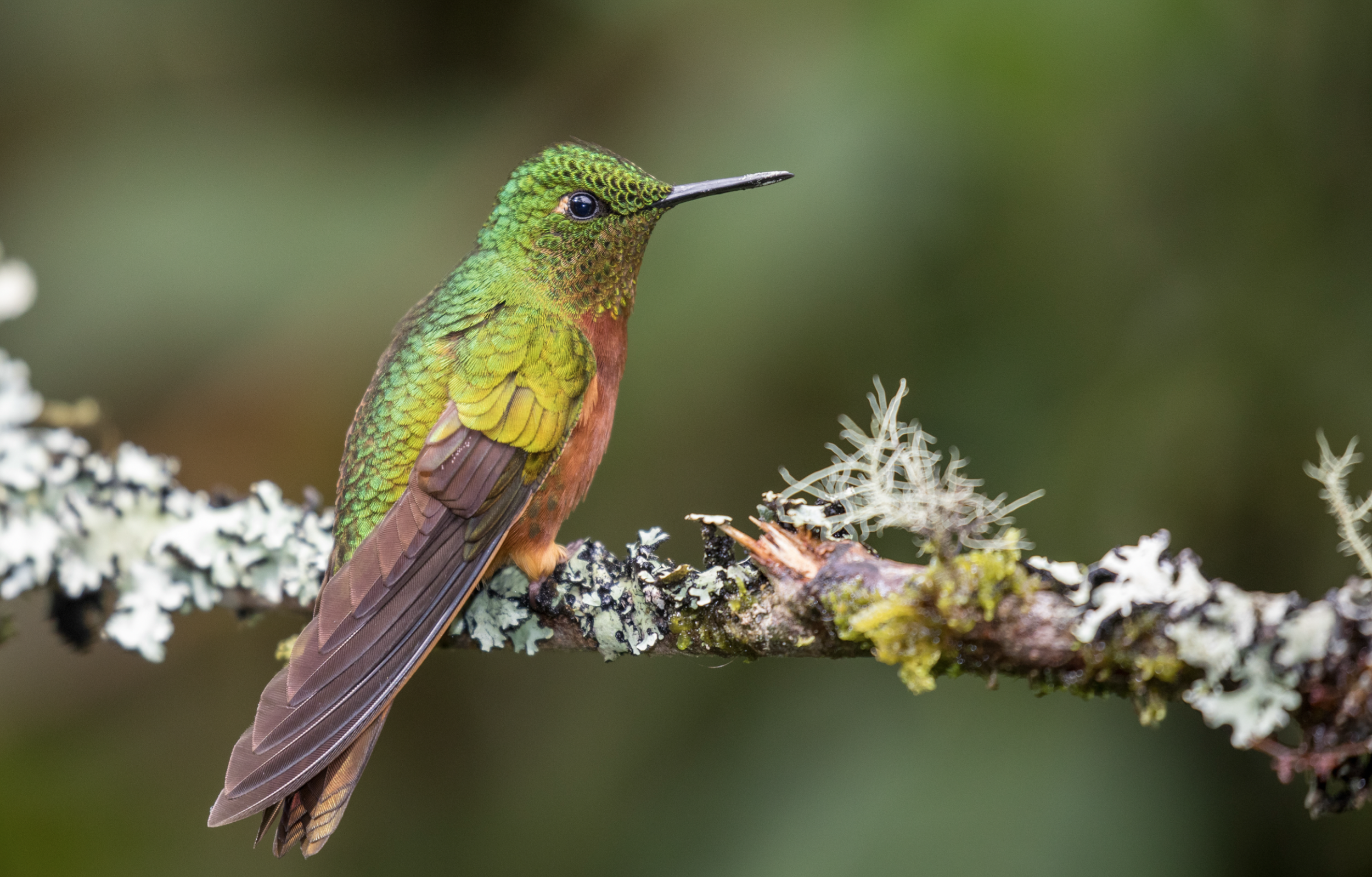 Screenshot 2026-04-07 at 9.43.15 AM.png