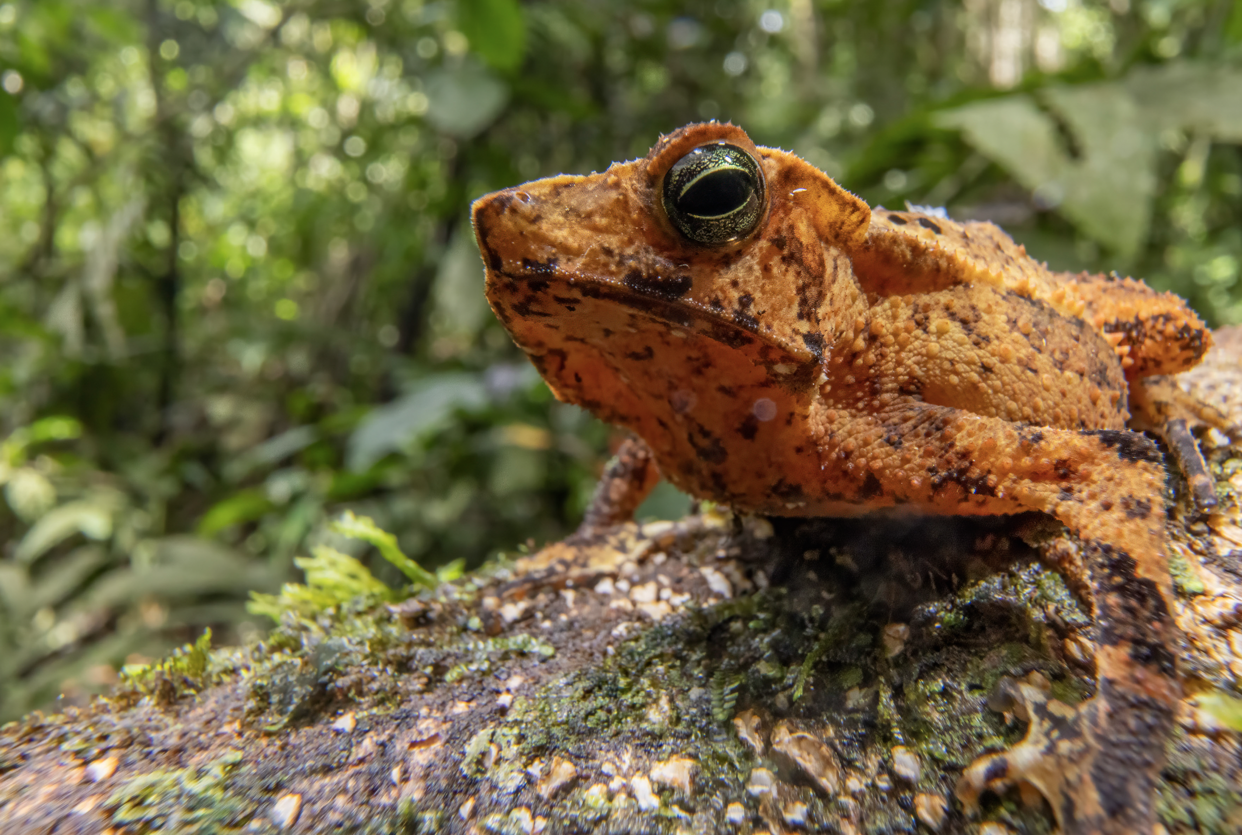 Screenshot 2026-04-03 at 11.46.43 AM.png