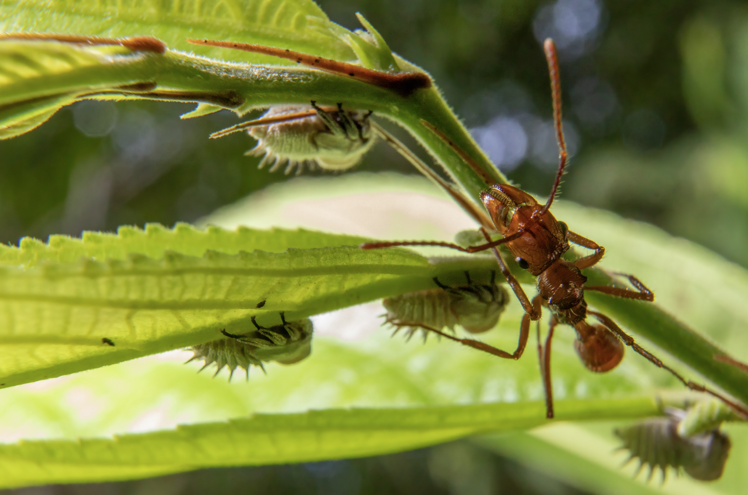 Screenshot 2026-04-03 at 12.56.55 PM.png