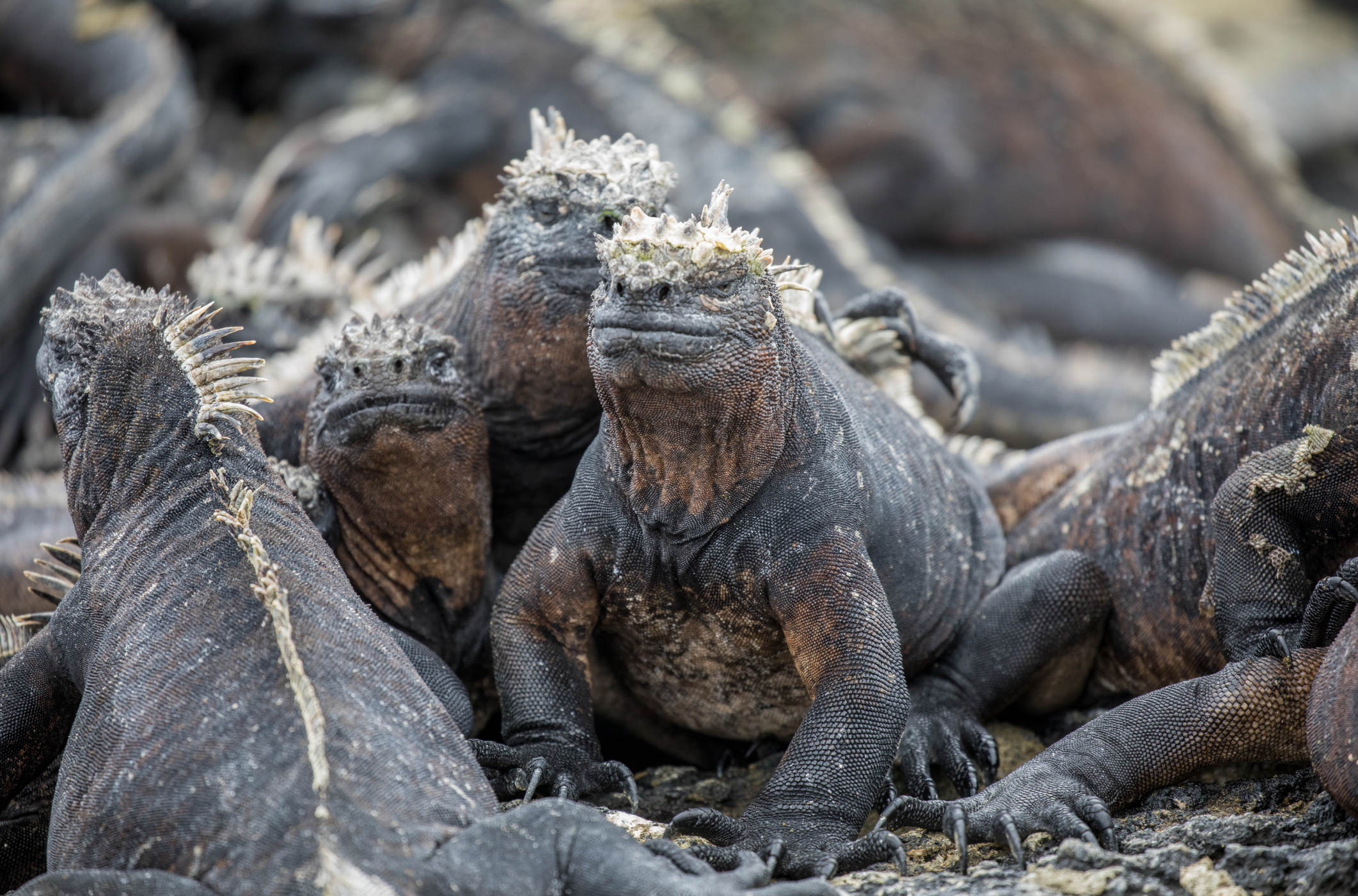 Screenshot 2026-04-01 at 1.28.04 PM.png