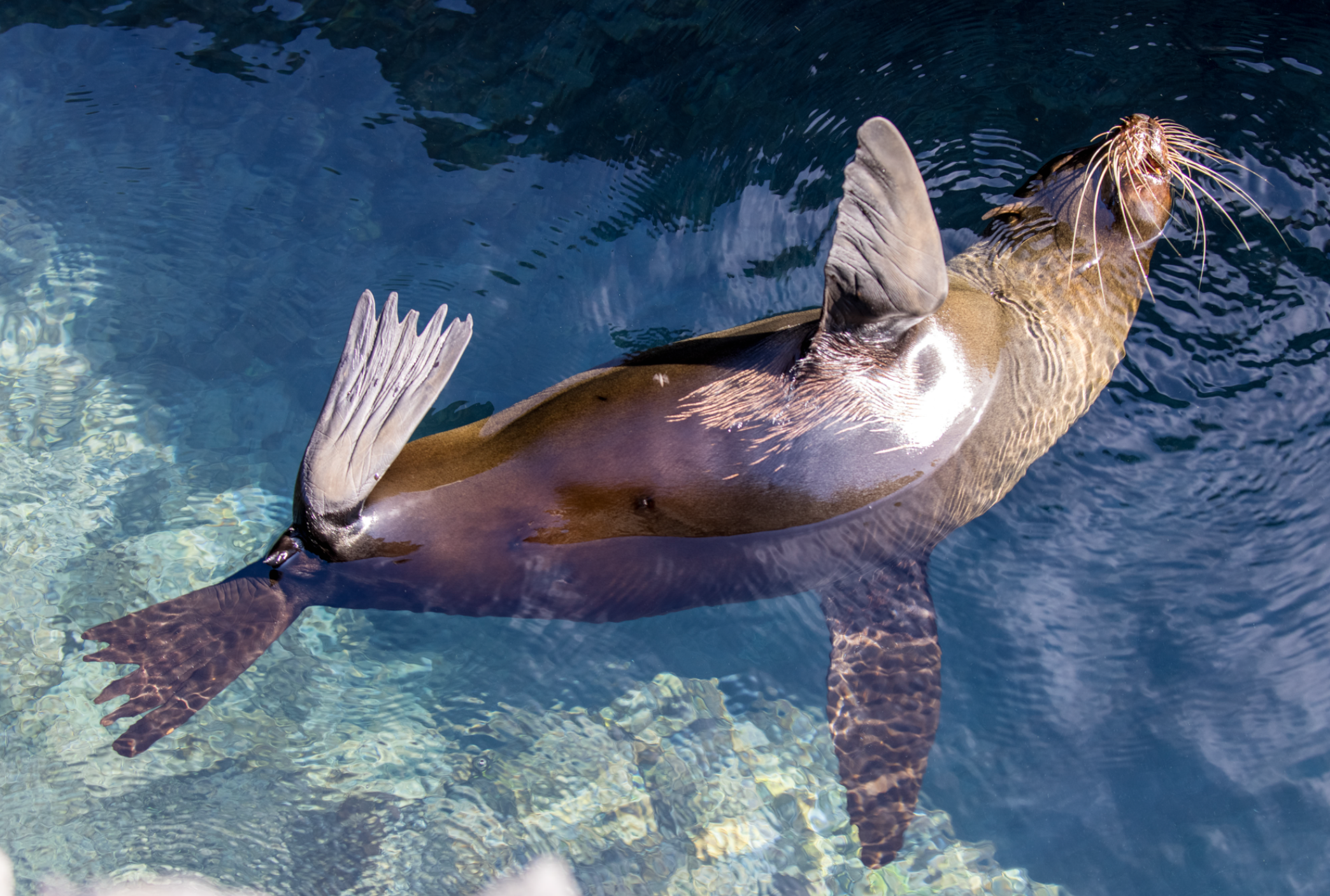 Screenshot 2026-04-01 at 1.27.08 PM.png