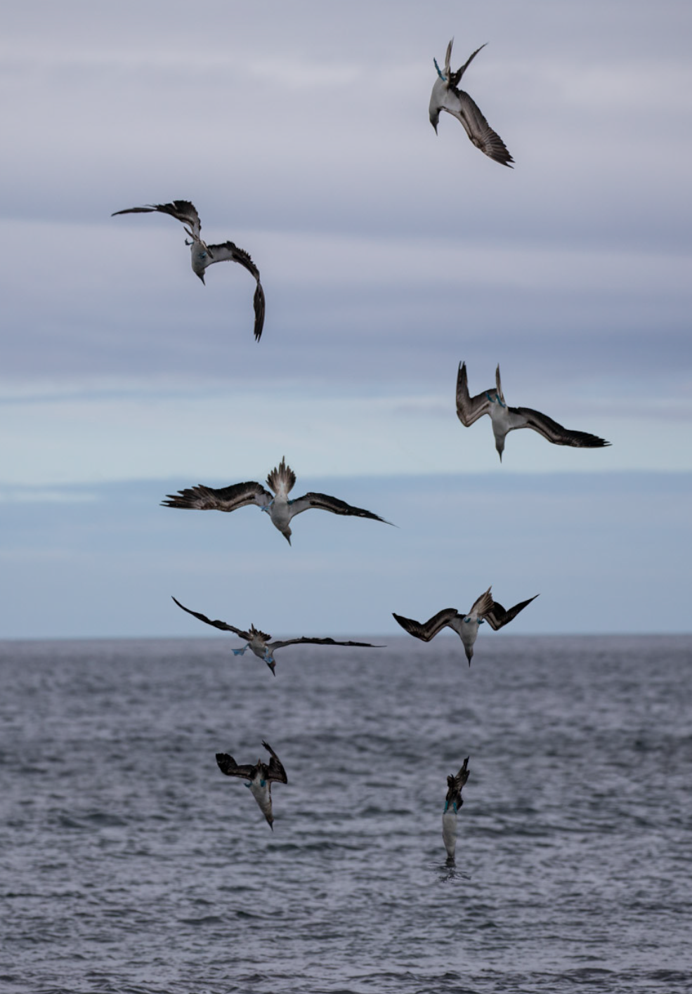 Screenshot 2026-04-01 at 1.28.57 PM.png