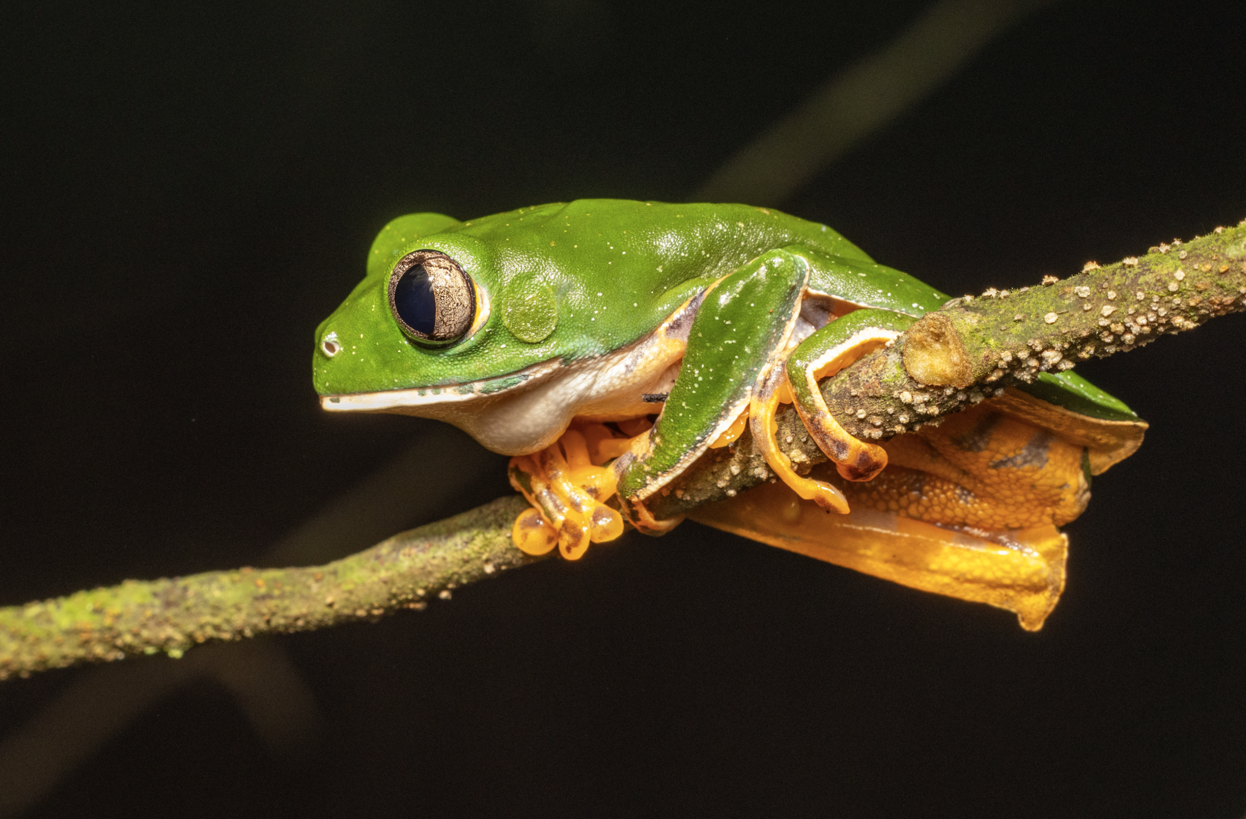 Screenshot 2026-04-03 at 11.46.58 AM.png