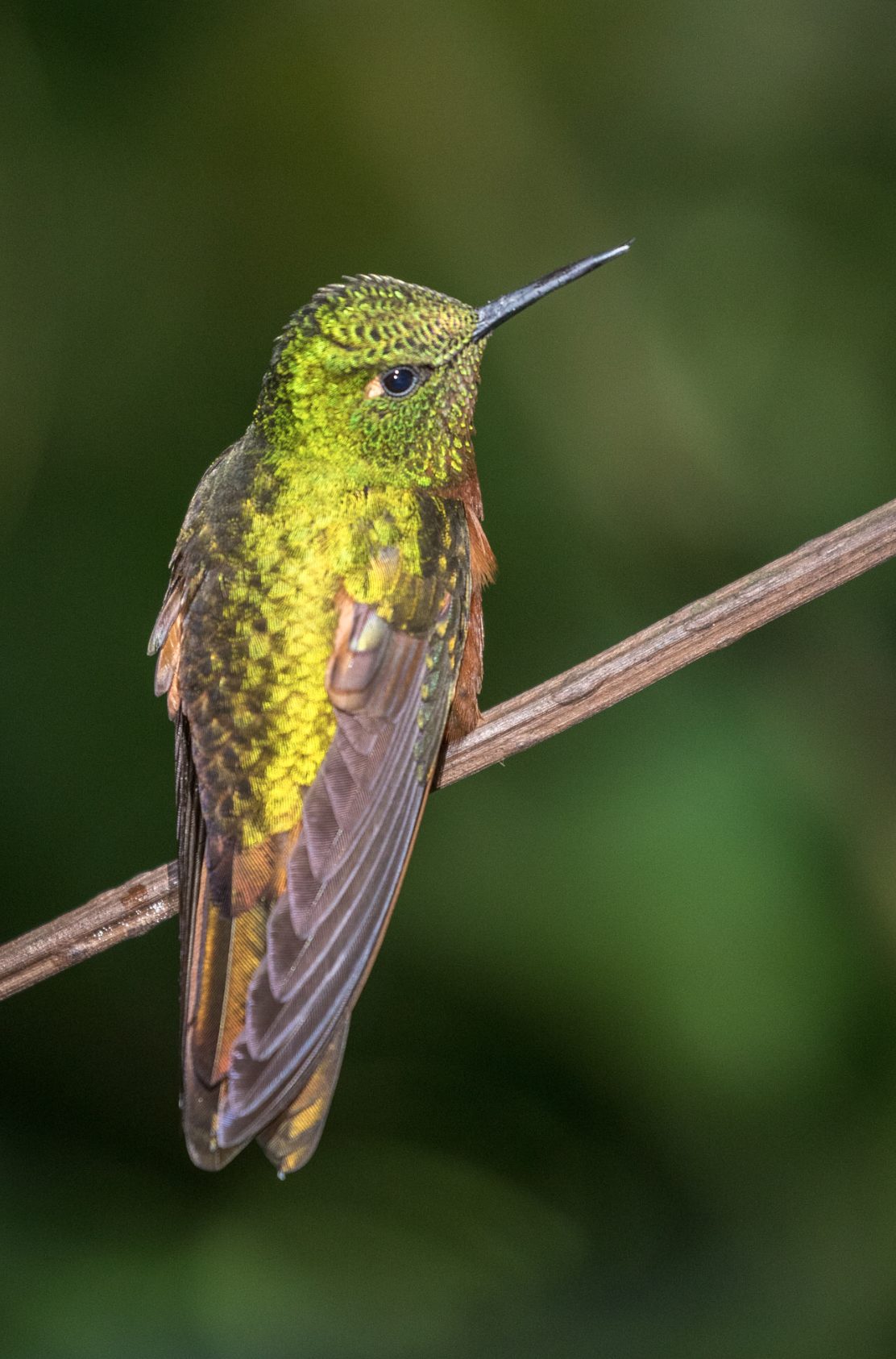 Screenshot 2026-04-07 at 9.43.59 AM.png