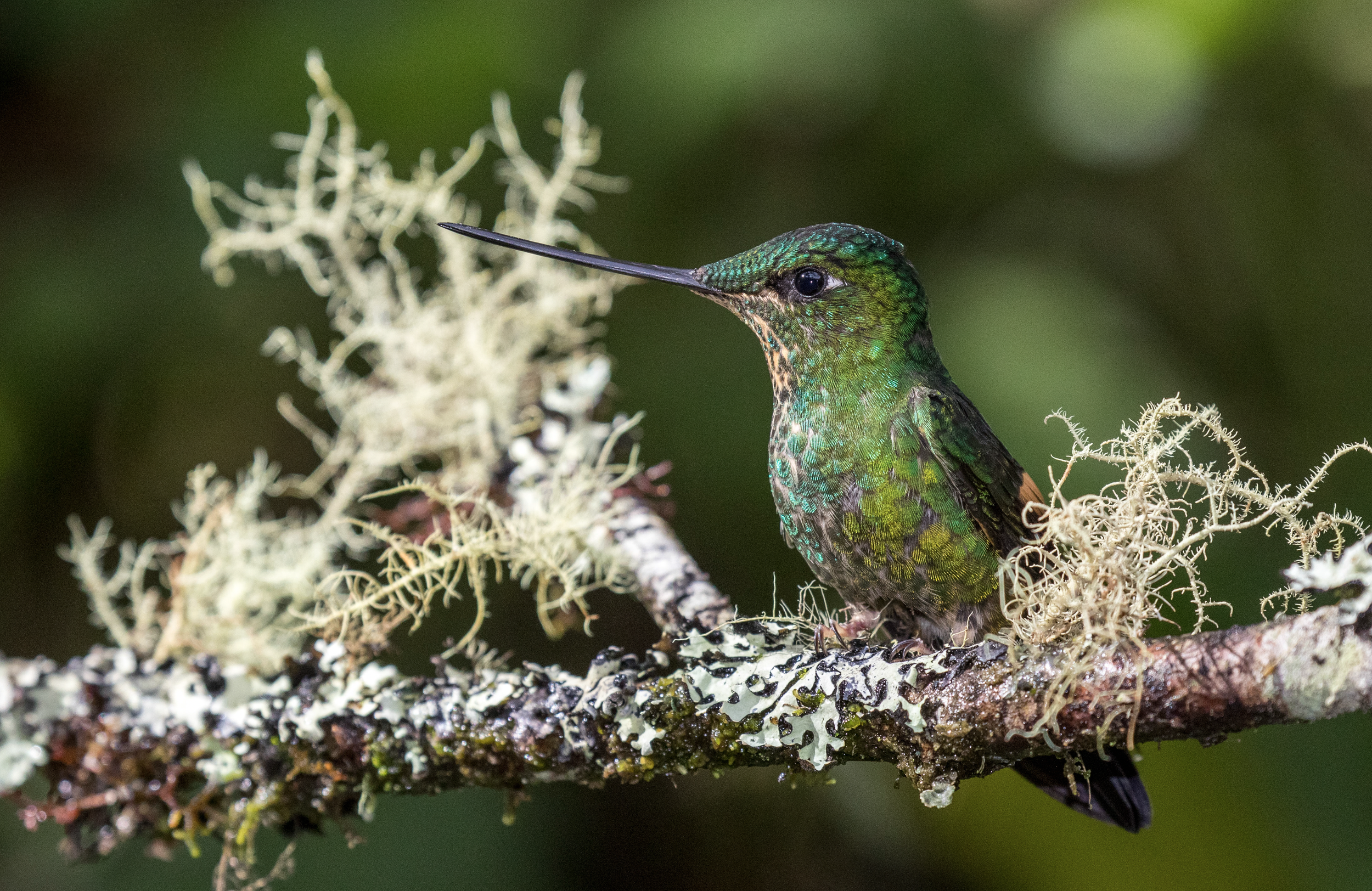 Screenshot 2026-04-07 at 9.43.27 AM.png