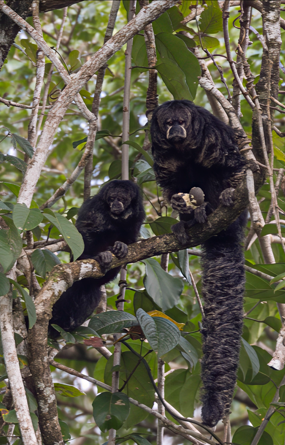 Screenshot 2026-04-01 at 1.37.31 PM.png