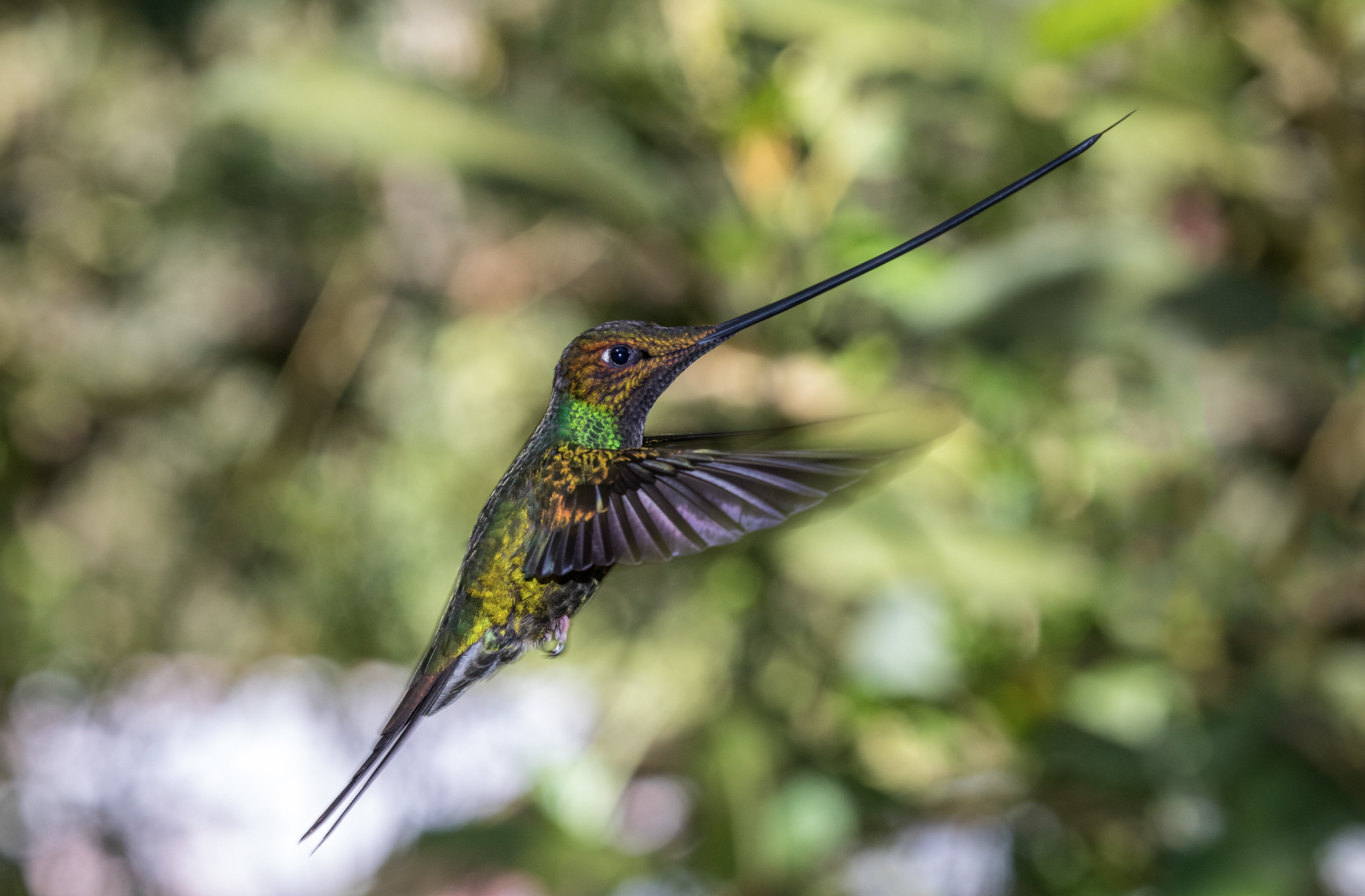 Screenshot 2026-04-07 at 9.41.07 AM.png