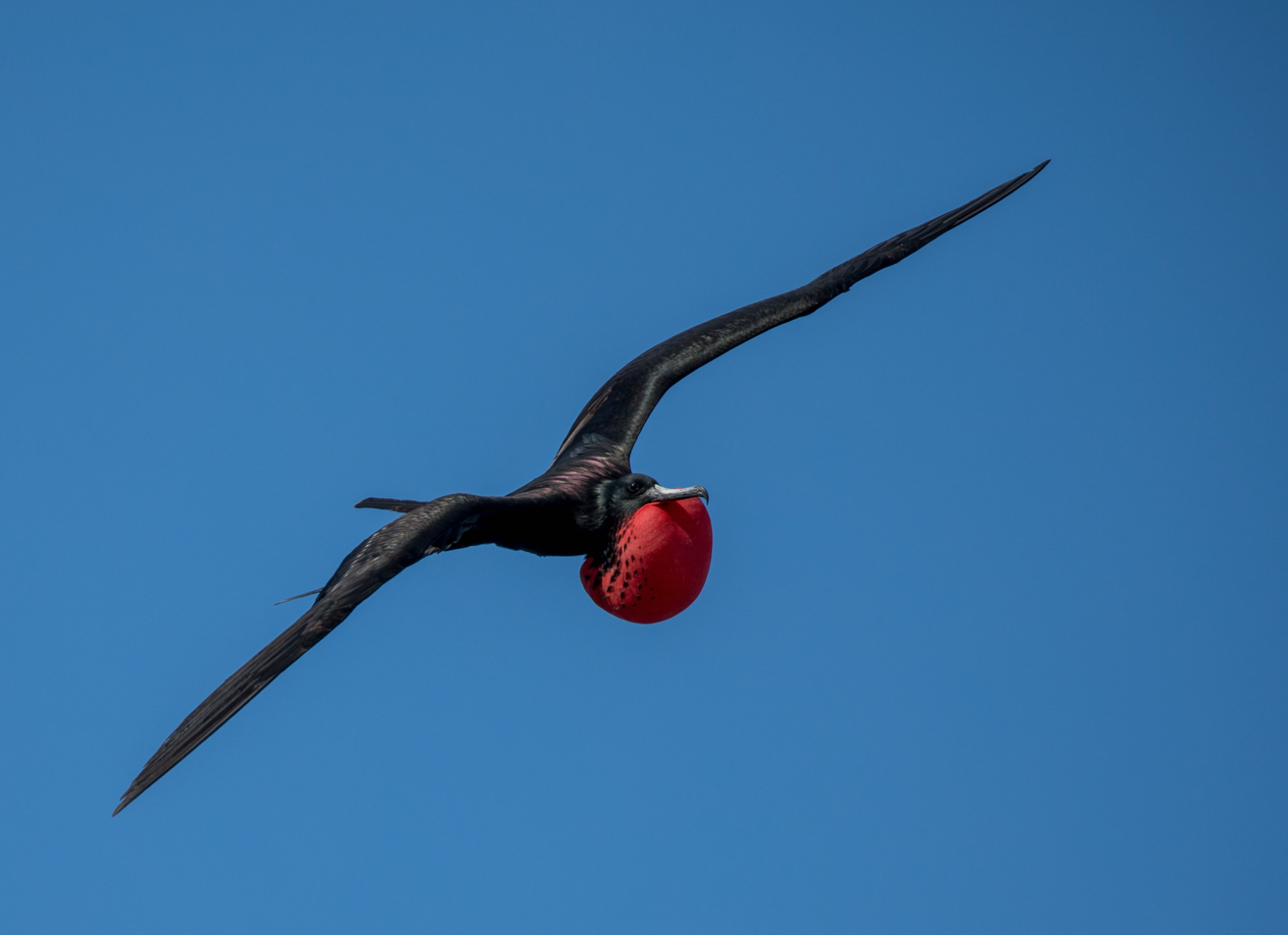 Screenshot 2026-04-01 at 1.25.53 PM.png