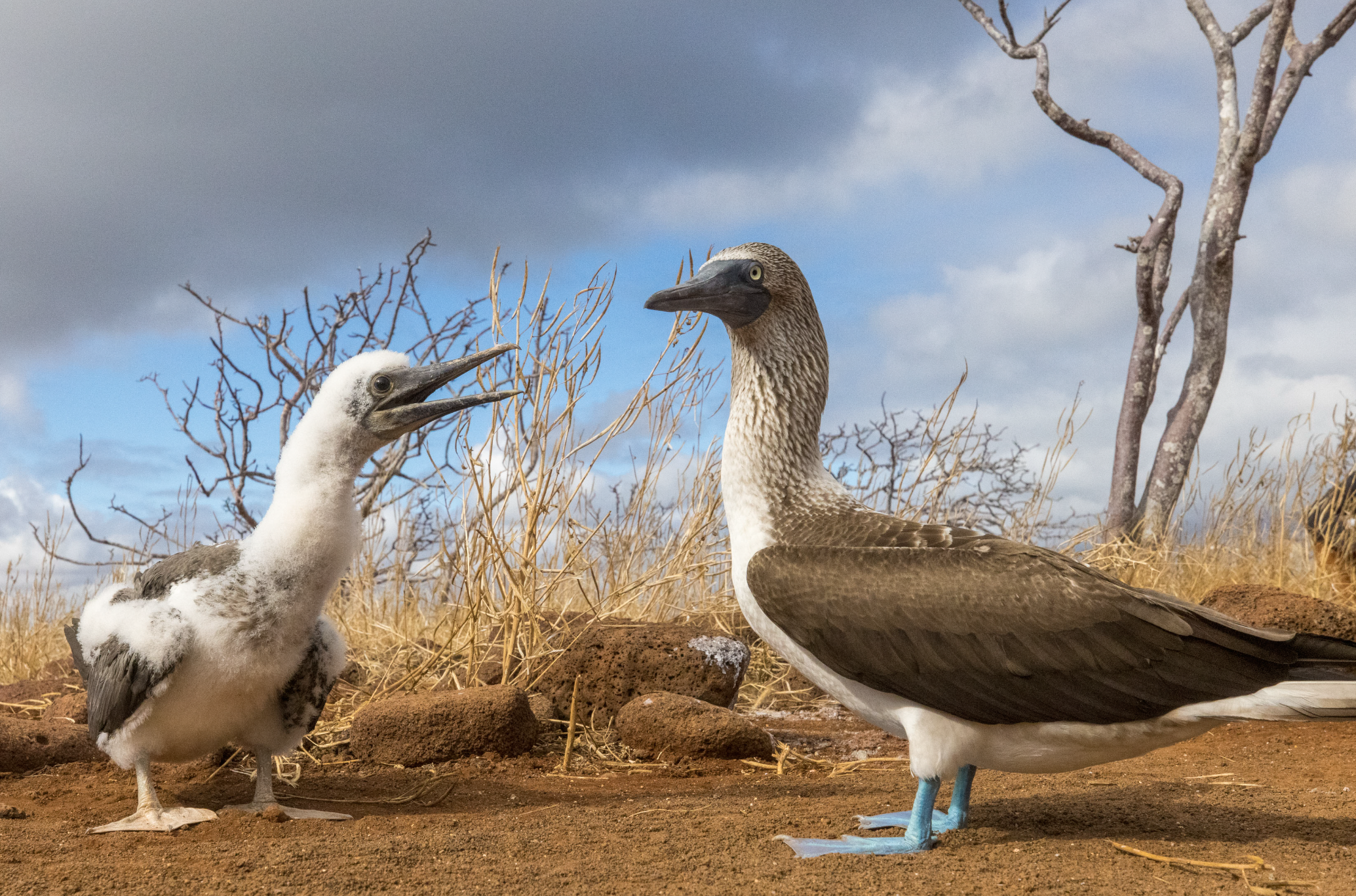 Screenshot 2026-04-01 at 12.48.13 PM.png