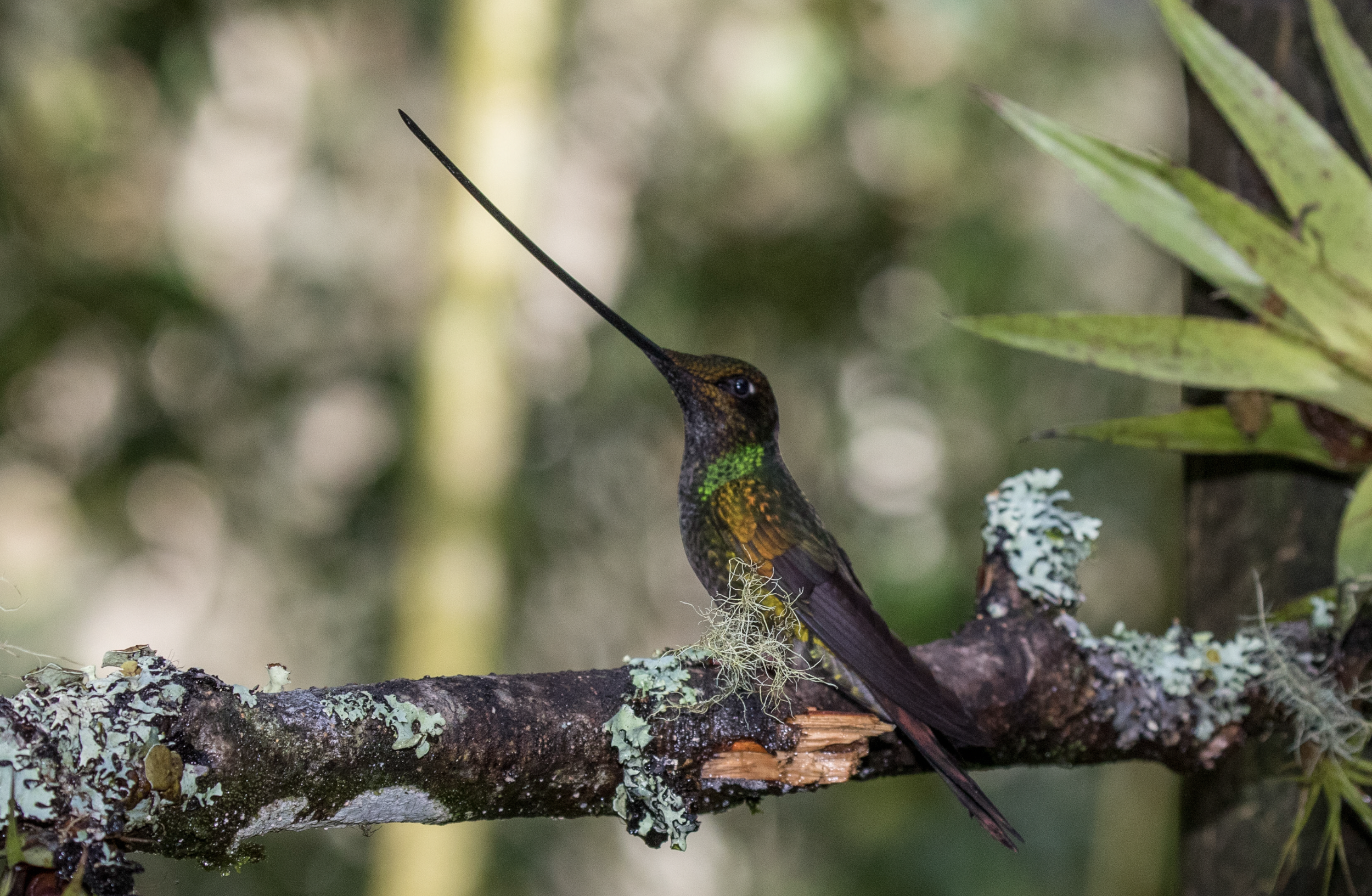 Screenshot 2026-04-07 at 9.43.39 AM.png