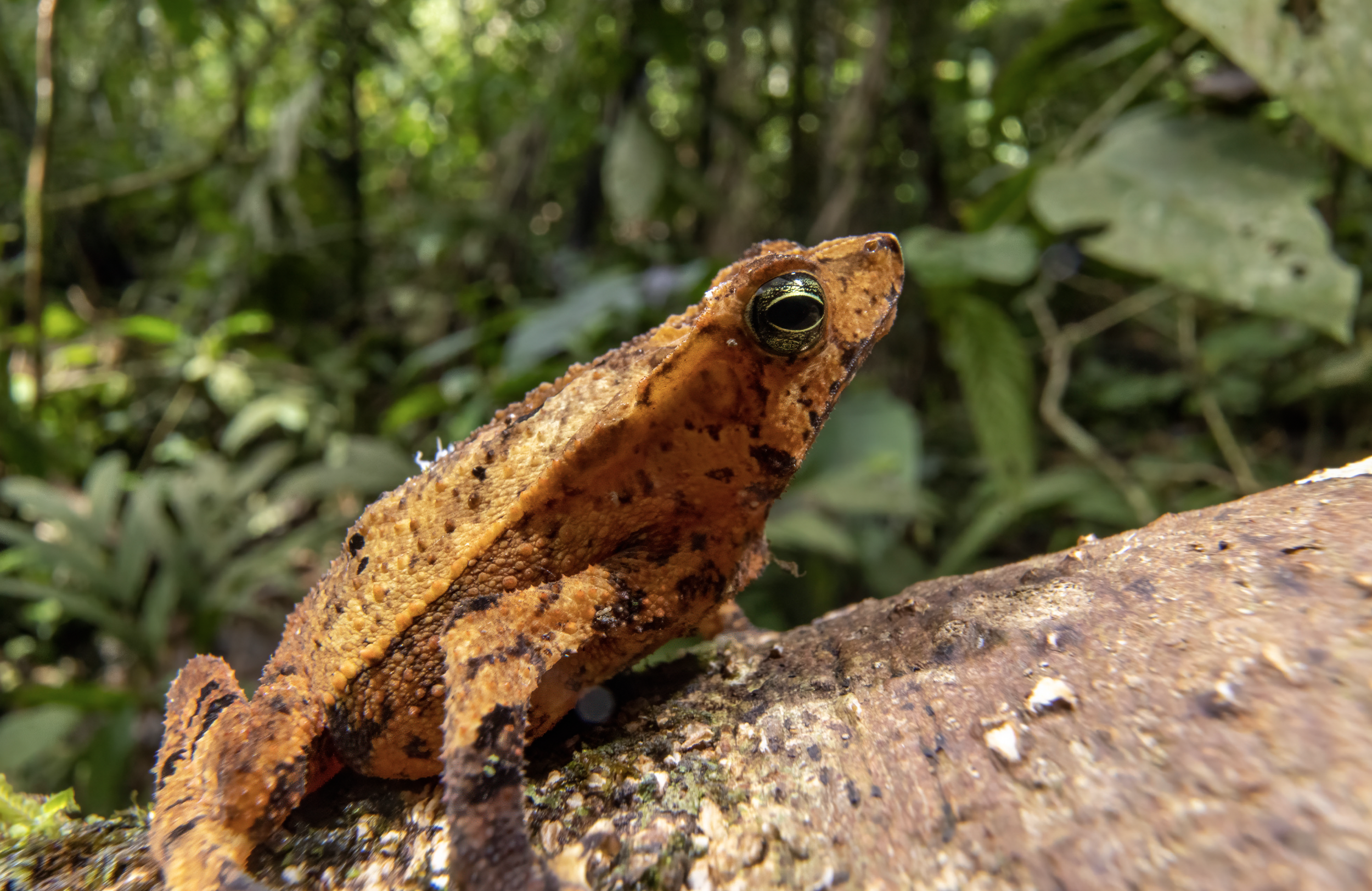 Screenshot 2026-04-03 at 11.46.26 AM.png