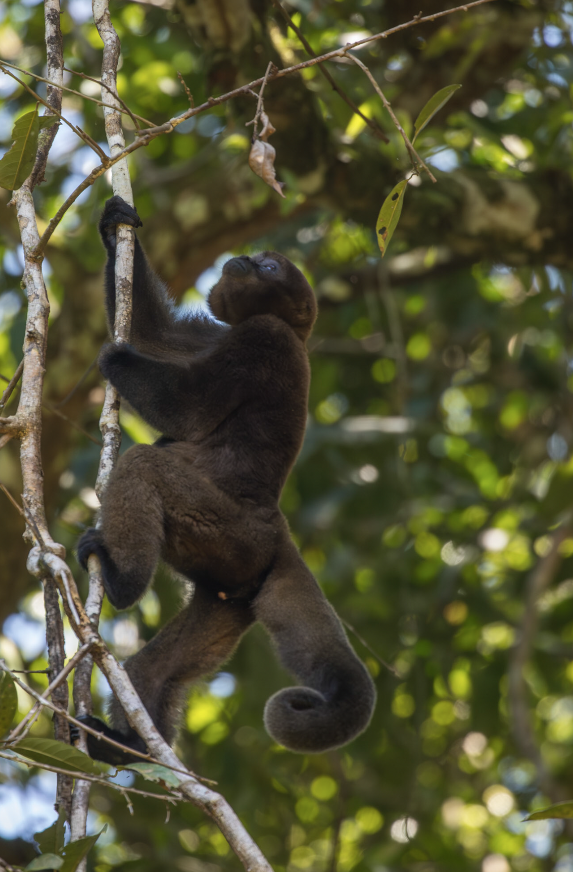 Screenshot 2026-04-03 at 11.41.47 AM.png