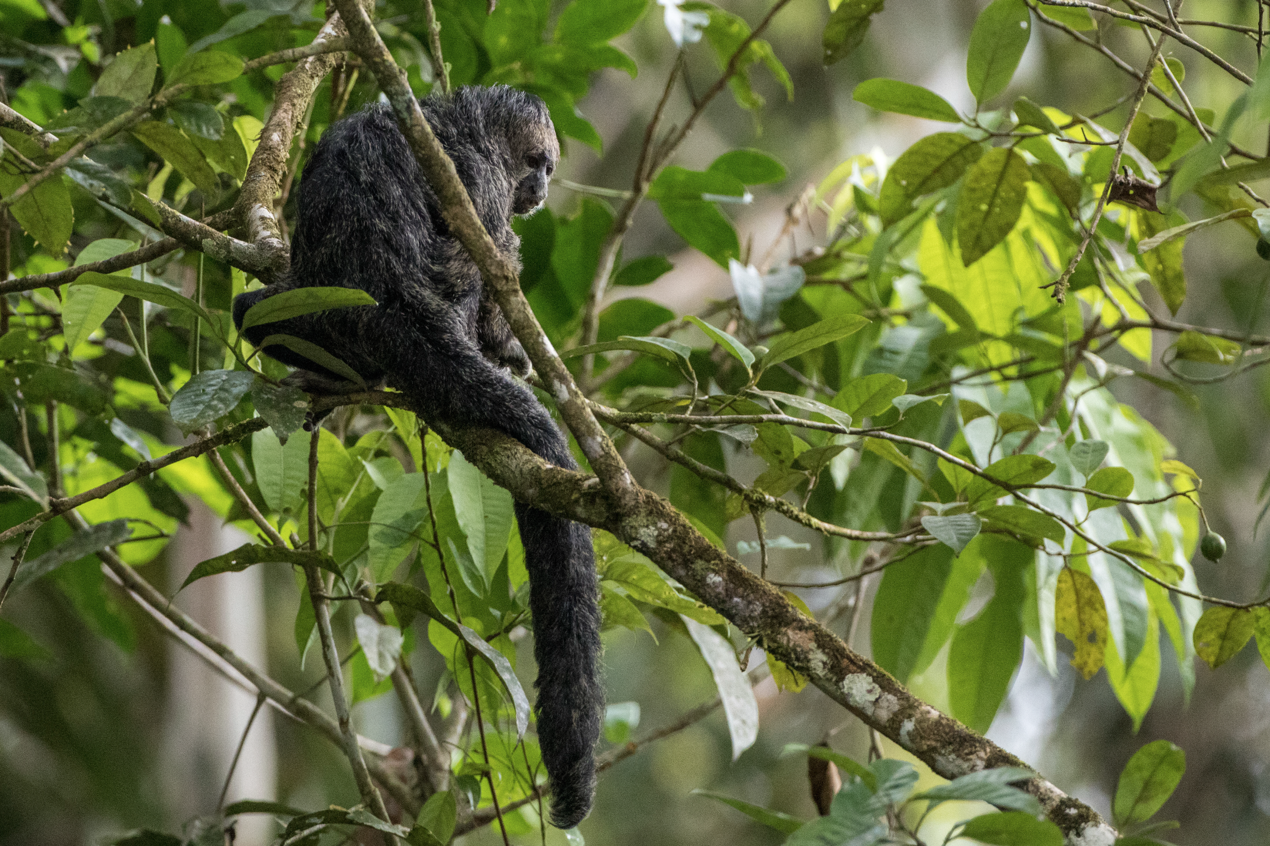 Screenshot 2026-04-03 at 11.40.58 AM.png