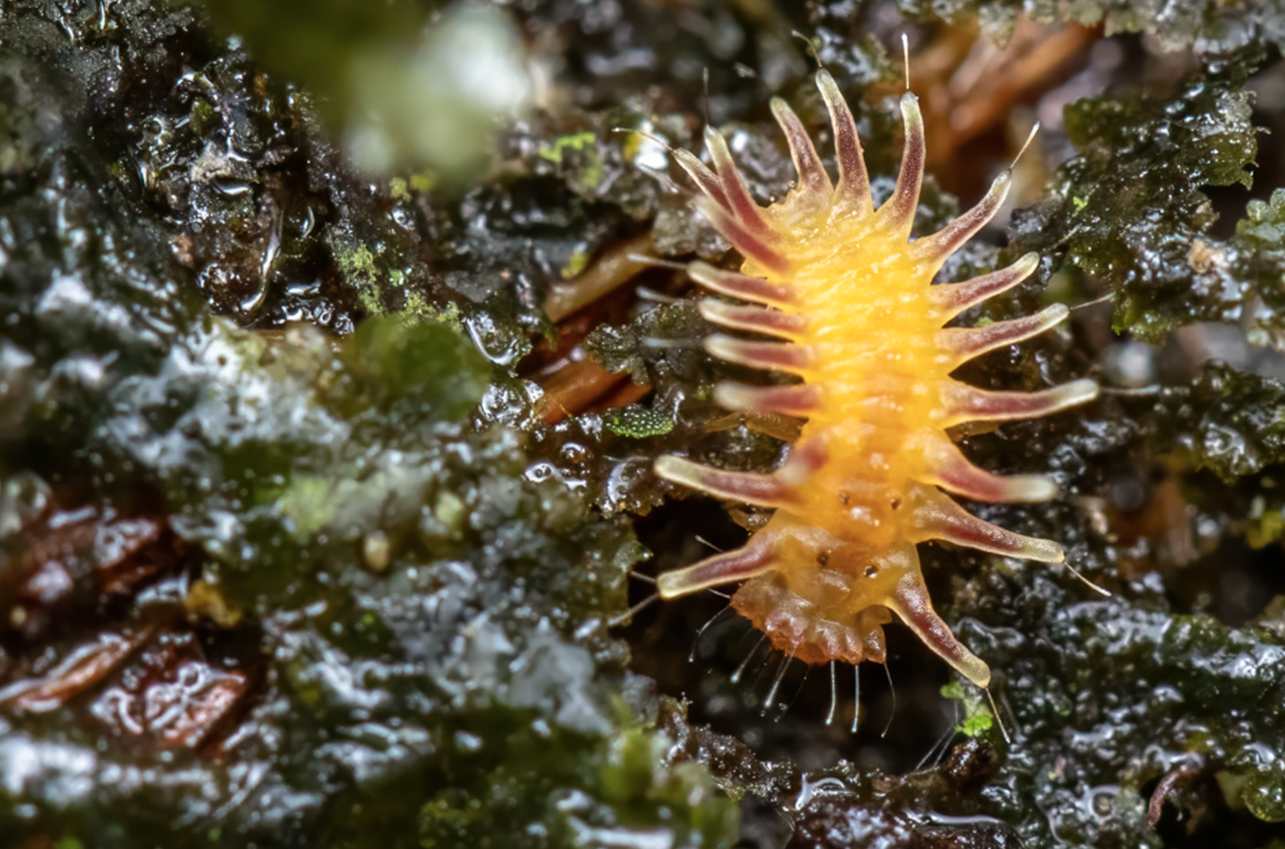 Screenshot 2026-04-03 at 11.43.47 AM.png