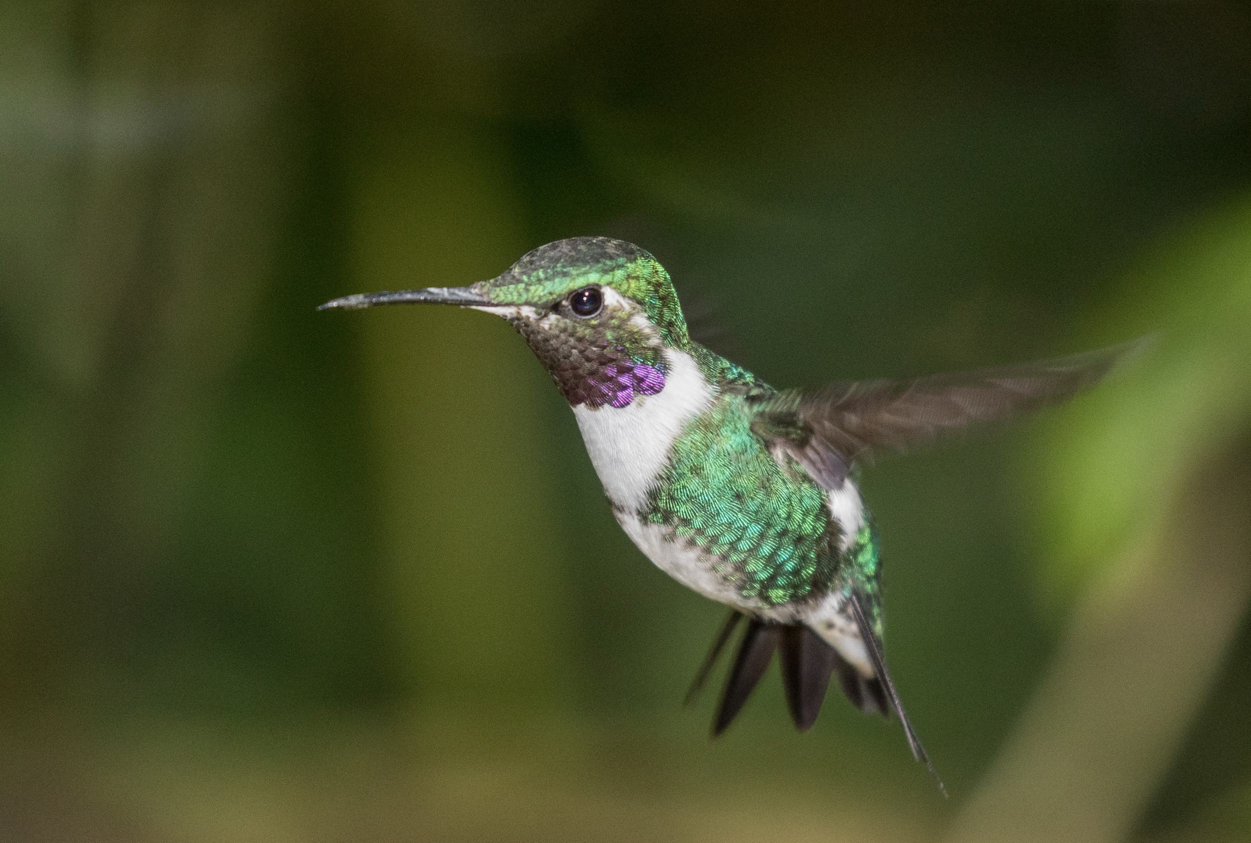 Screenshot 2026-04-07 at 9.43.51 AM.png