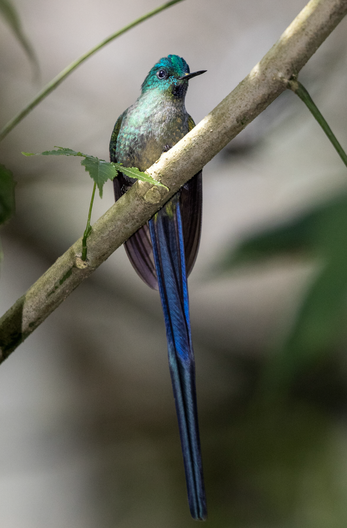 Screenshot 2026-04-07 at 9.44.23 AM.png